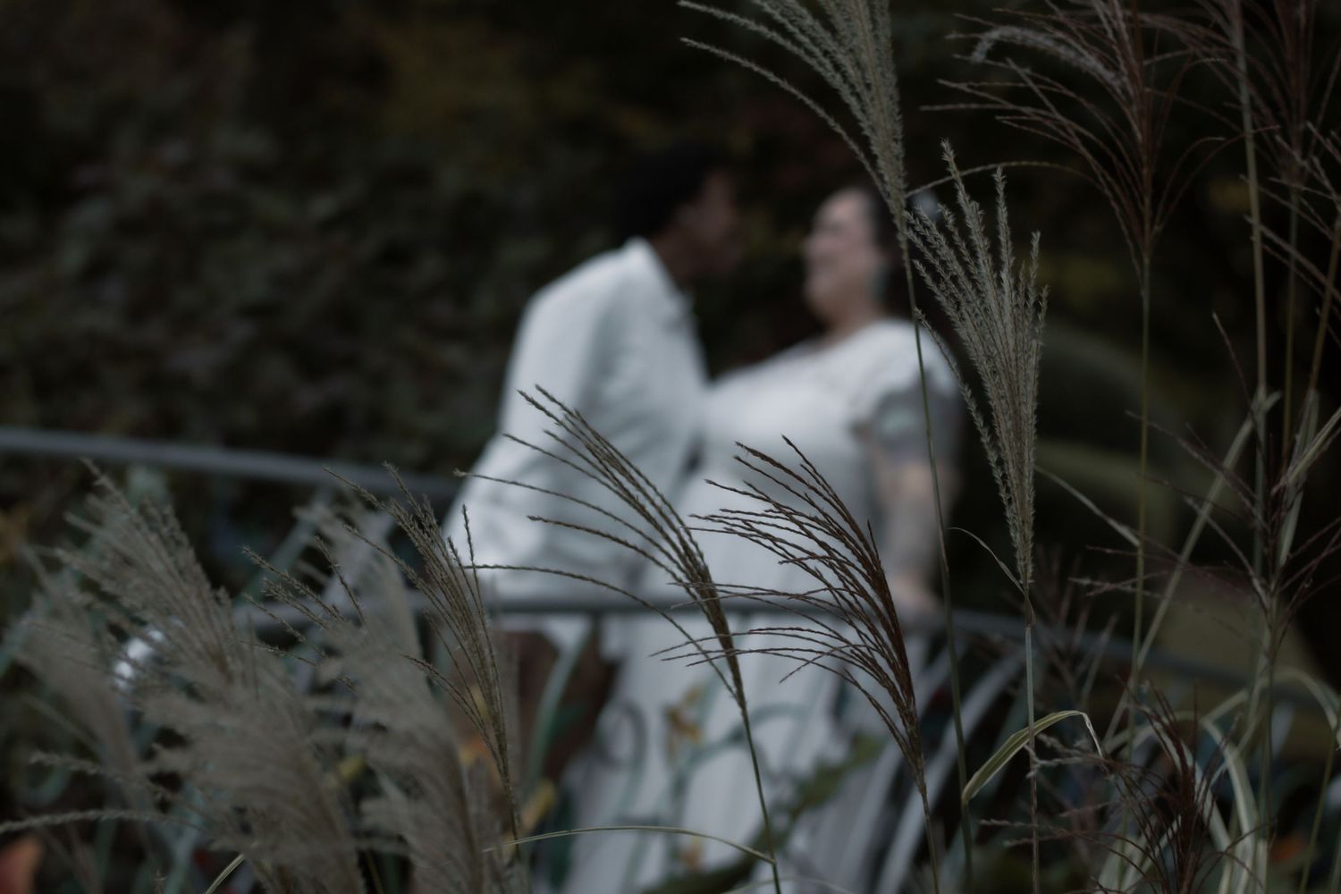 A romantic couple in white attire stands among tall grasses at dusk creating a dreamy silhouette.
