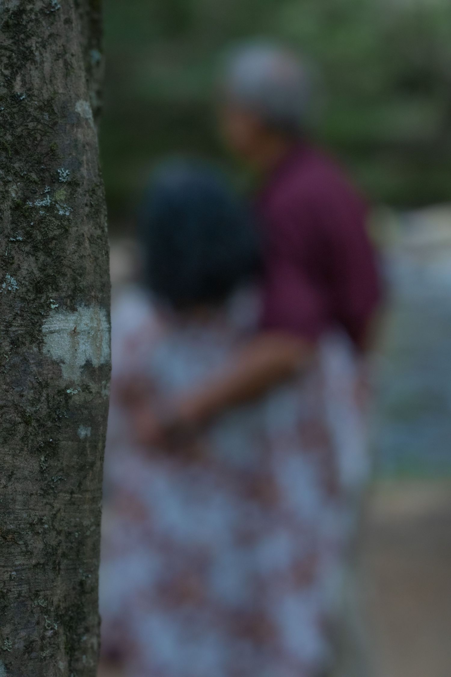Blurred outdoor scene with trees and figures in the background.