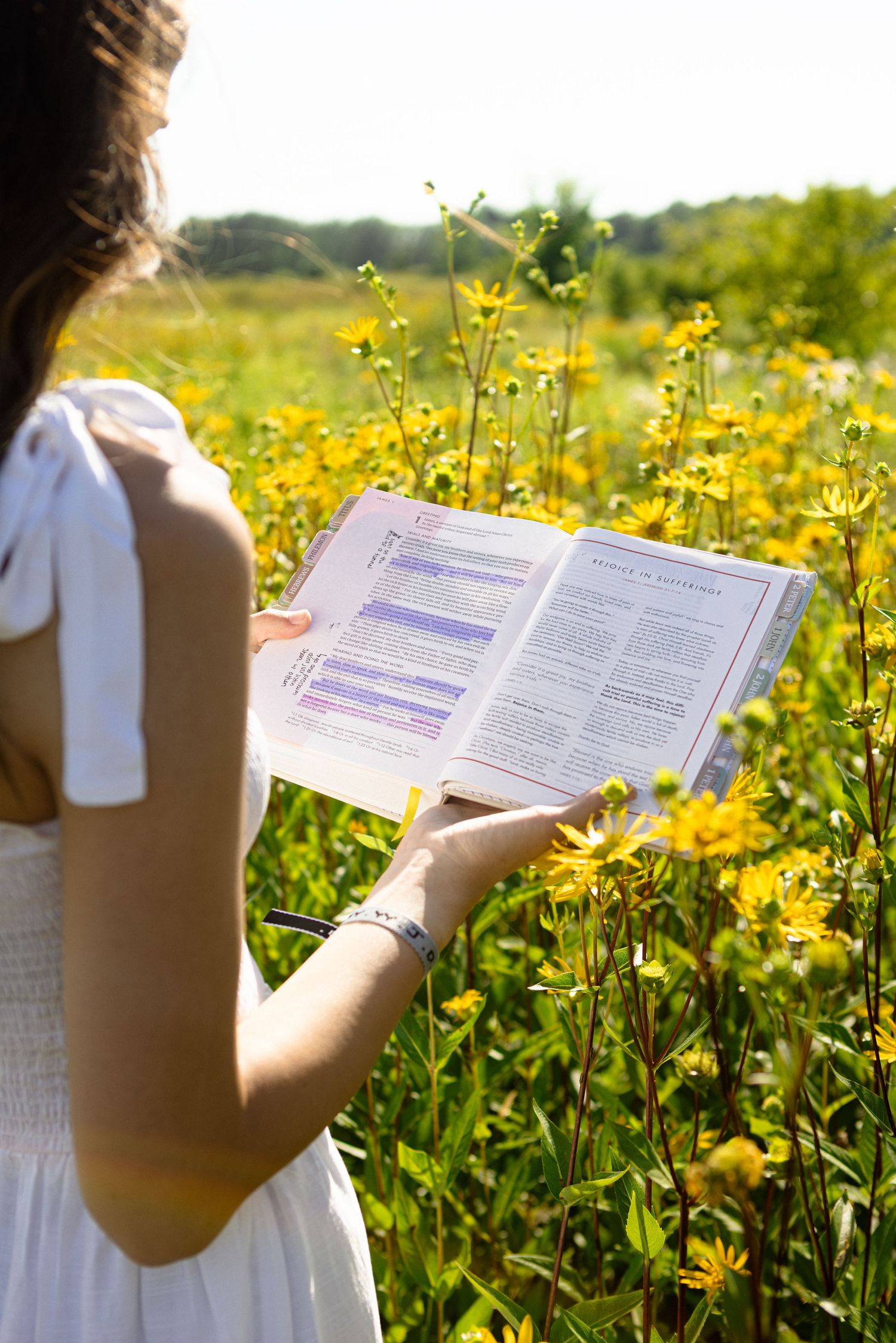 A person reads from an open book in a sunny meadow filled with vibrant yellow wildflowers on a summer day.
