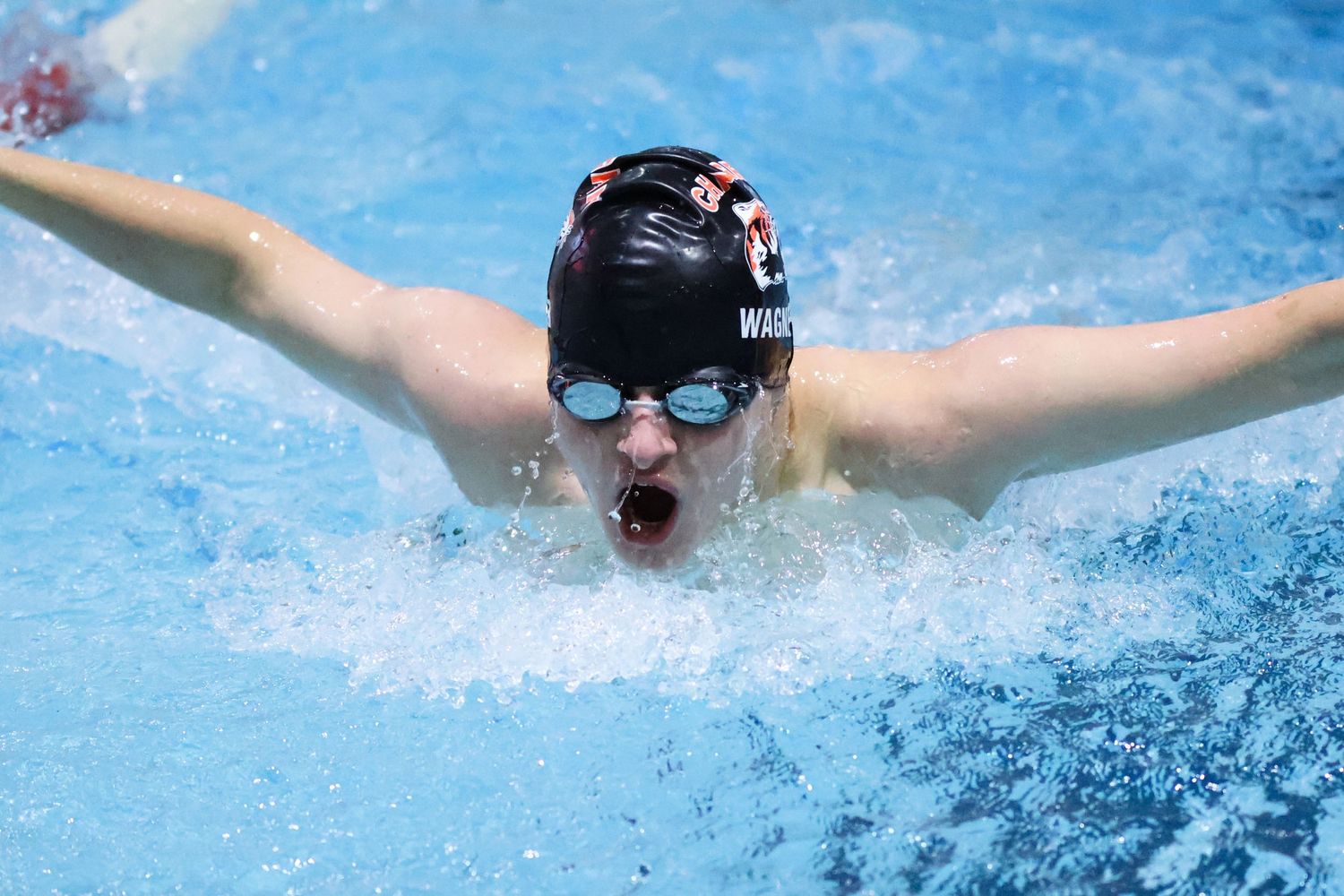 Swimmer performing butterfly stroke in competitive swimming pool race.