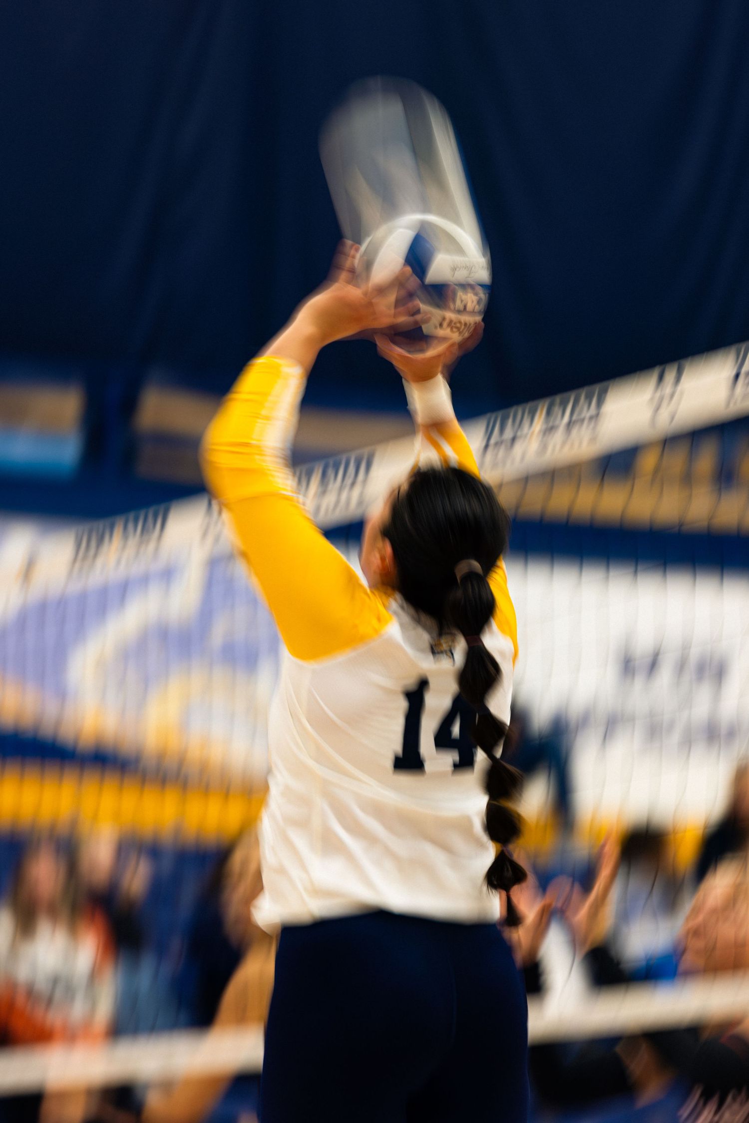 Motion blur volleyball player in white jersey number 14 sets the ball during indoor match.