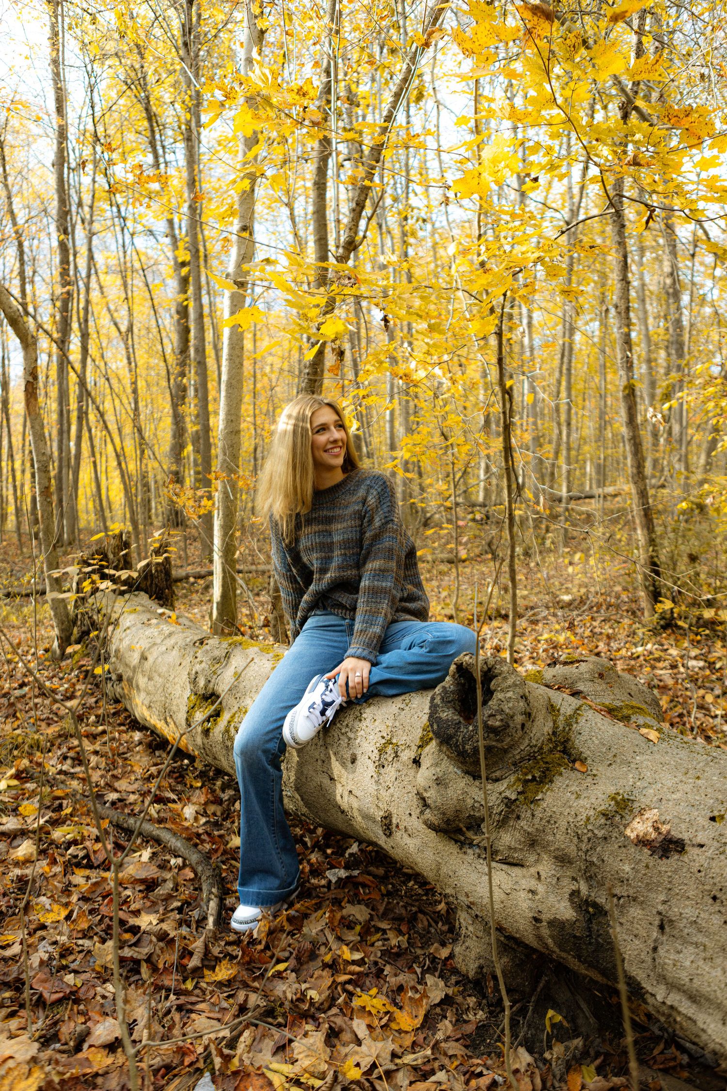 A person sits on a fallen tree trunk surrounded by golden autumn leaves in a forest setting.