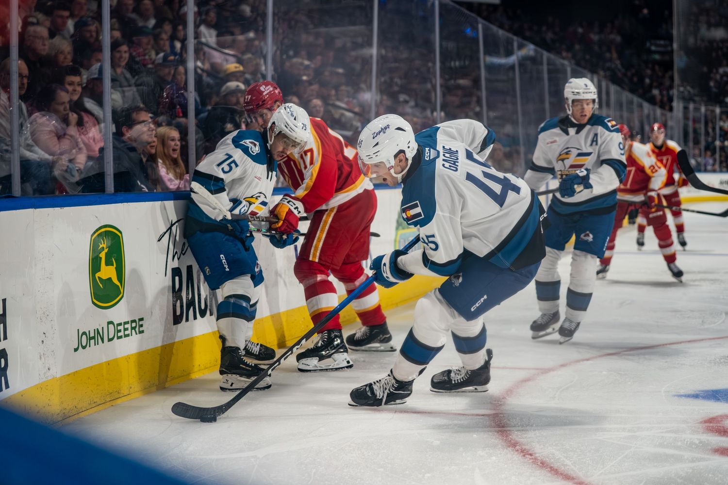 COLORADO EAGLES PORTRAIT TAKEN BY SARAH MICHELLE CREATIVE