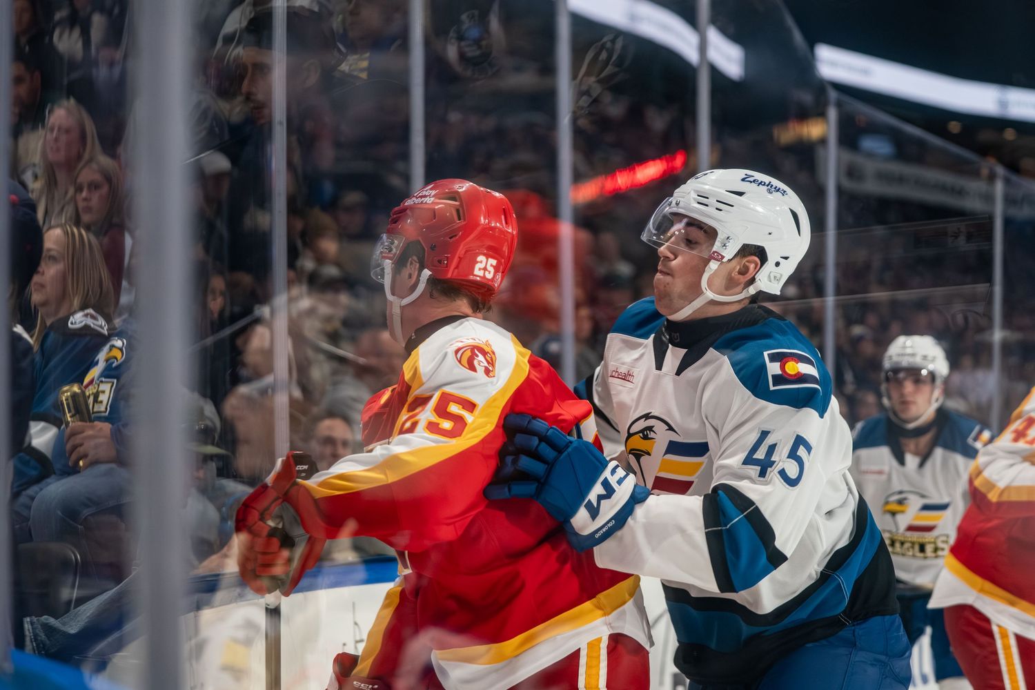 COLORADO EAGLES PORTRAIT TAKEN BY SARAH MICHELLE CREATIVE