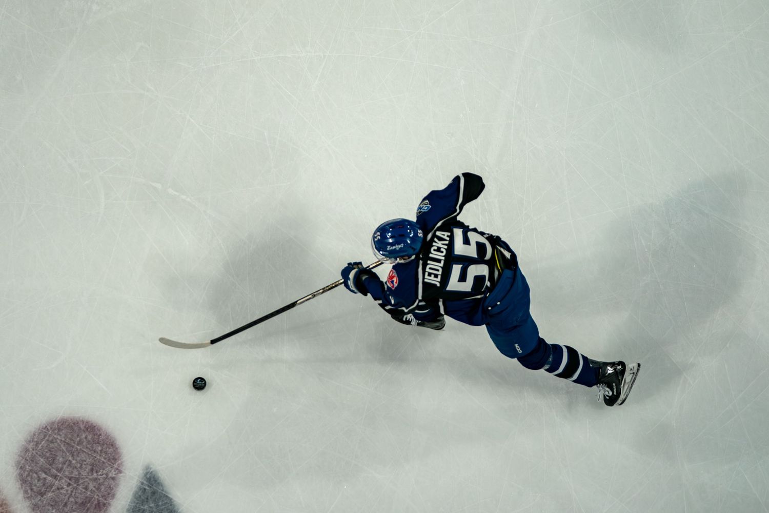 COLORADO EAGLES PORTRAIT TAKEN BY SARAH MICHELLE CREATIVE