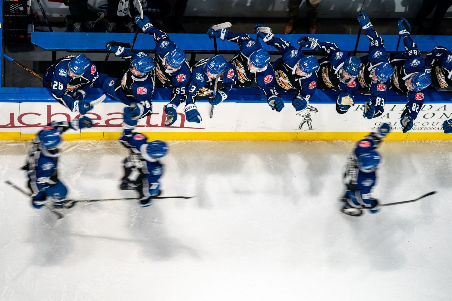 COLORADO EAGLES PORTRAIT TAKEN BY SARAH MICHELLE CREATIVE
