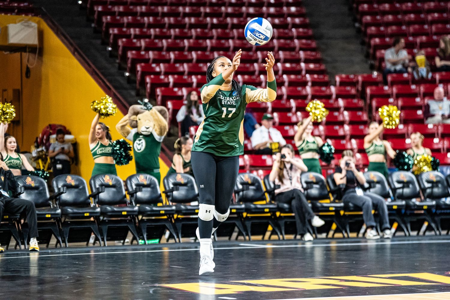 CSU VOLLEYBALL PORTRAIT TAKEN BY SARAH MICHELLE CREATIVE