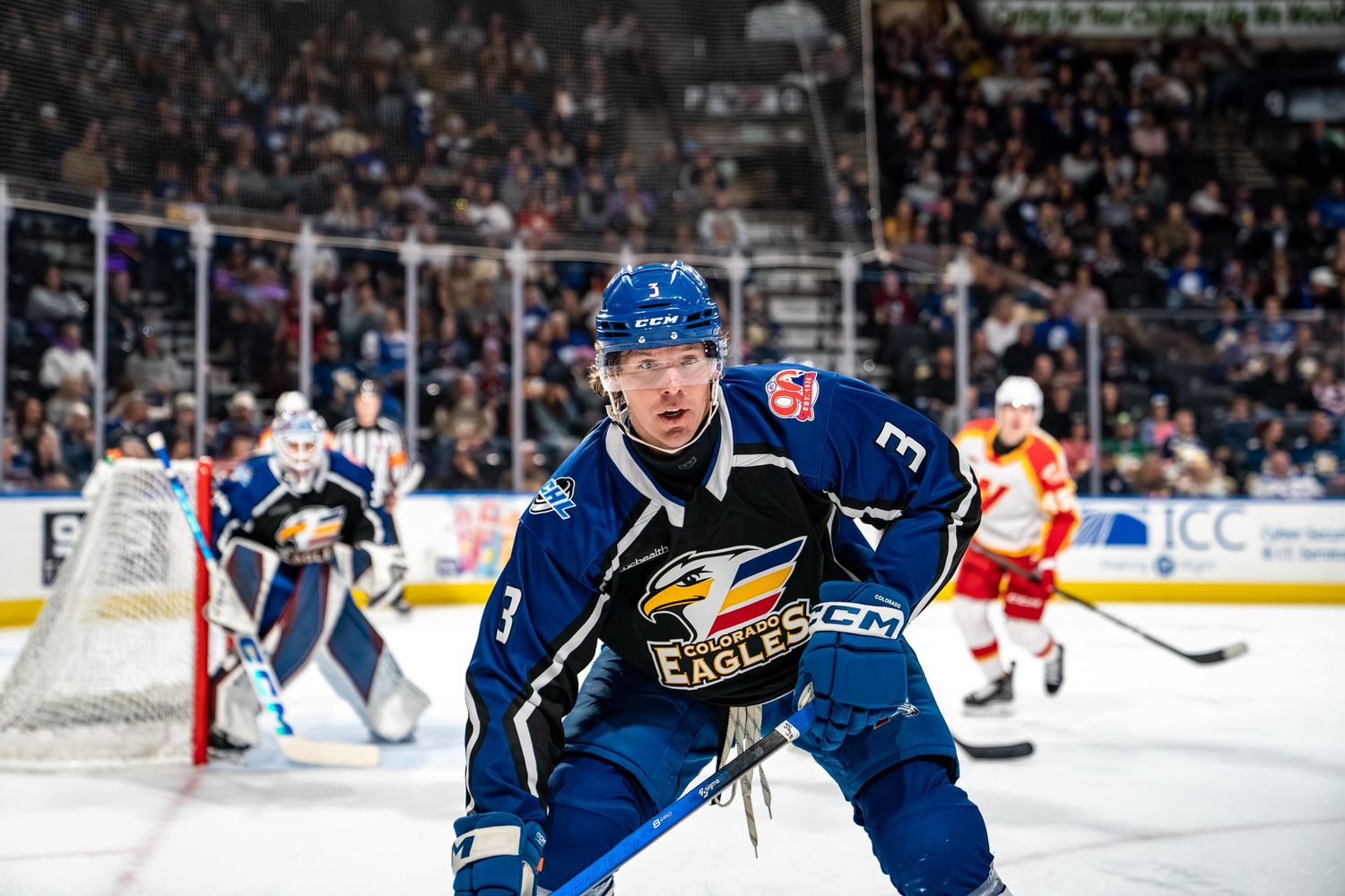 COLORADO EAGLES PORTRAIT TAKEN BY SARAH MICHELLE CREATIVE