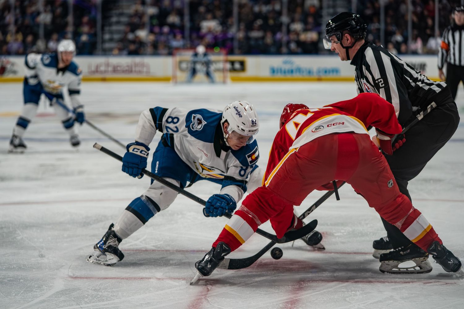 COLORADO EAGLES PORTRAIT TAKEN BY SARAH MICHELLE CREATIVE