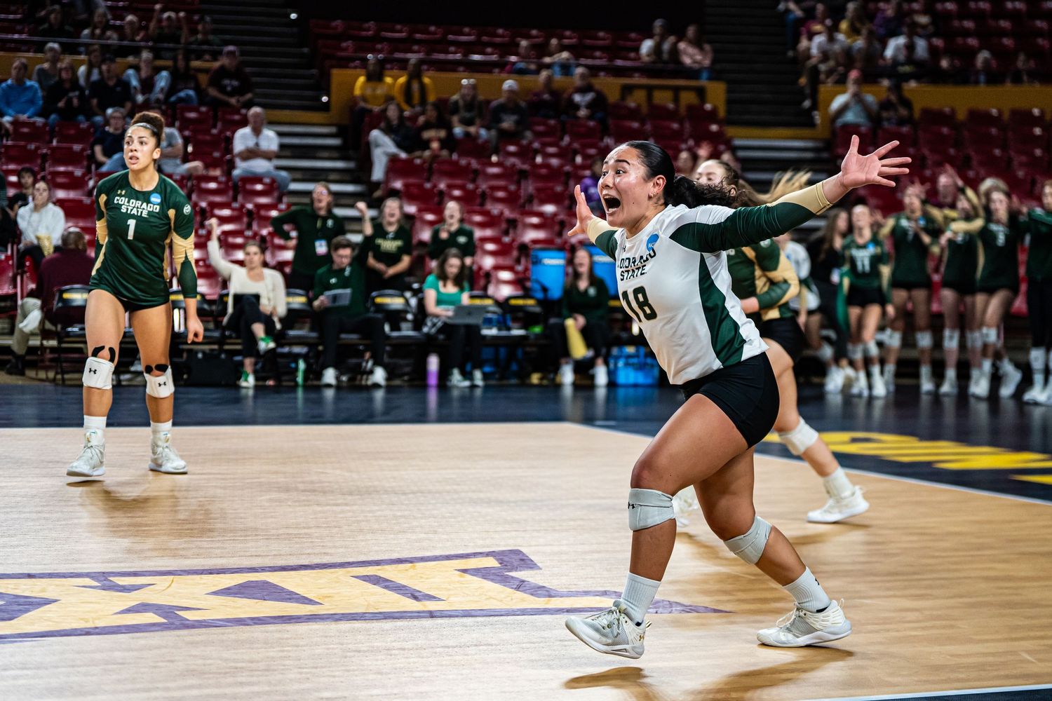 CSU VOLLEYBALL PORTRAIT TAKEN BY SARAH MICHELLE CREATIVE