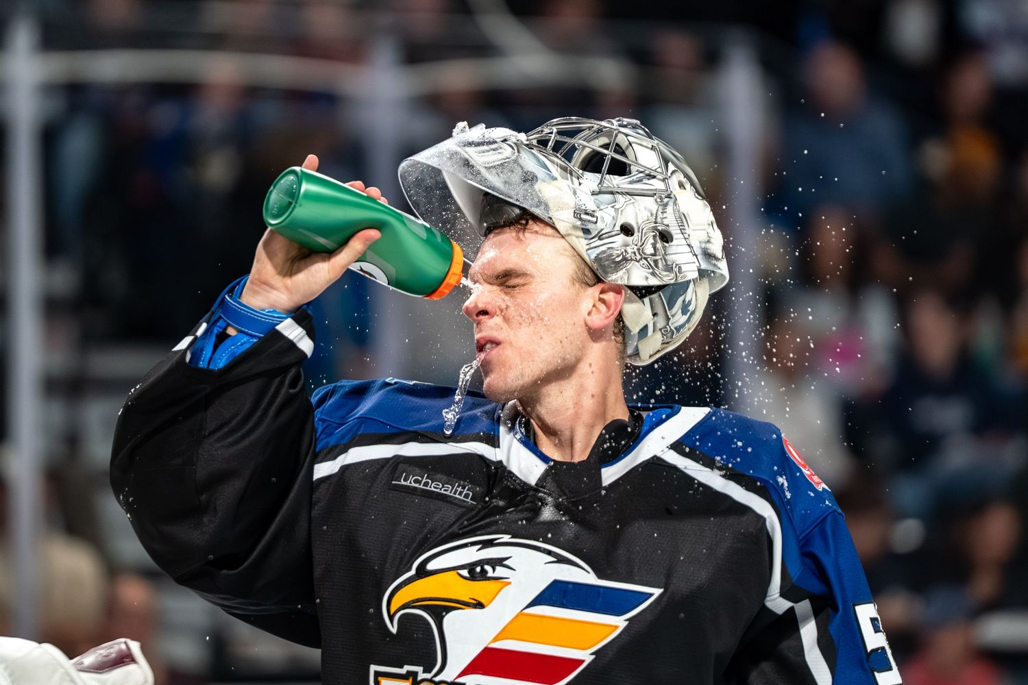 COLORADO EAGLES PORTRAIT TAKEN BY SARAH MICHELLE CREATIVE