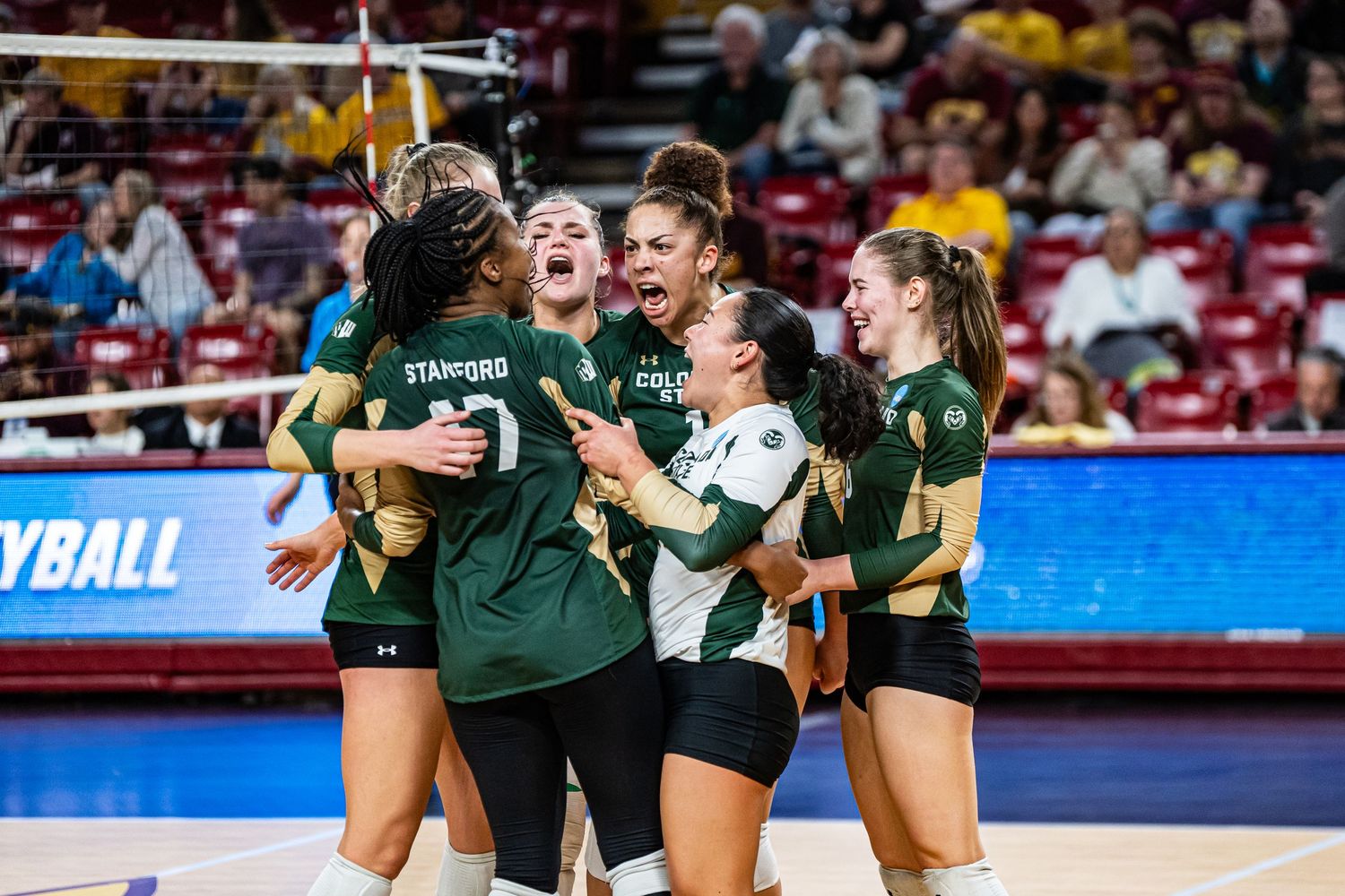 CSU VOLLEYBALL PORTRAIT TAKEN BY SARAH MICHELLE CREATIVE