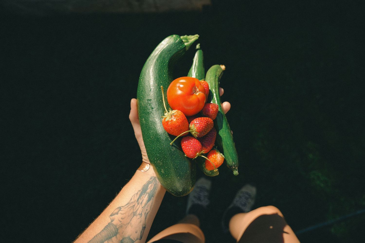 Tattooed hands holding fresh garden vegetables including zucchini, tomatoes, and strawberries outdoors.