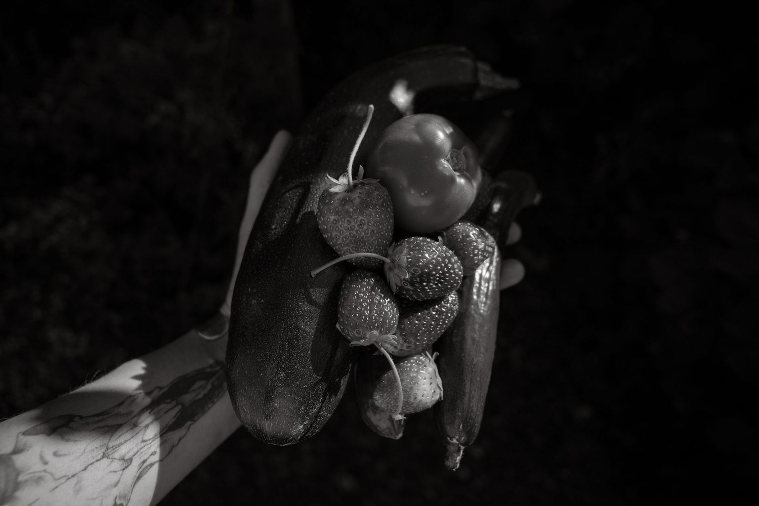 Black and white photo of a hand holding fresh fruits including strawberries, cherries, and peppers.