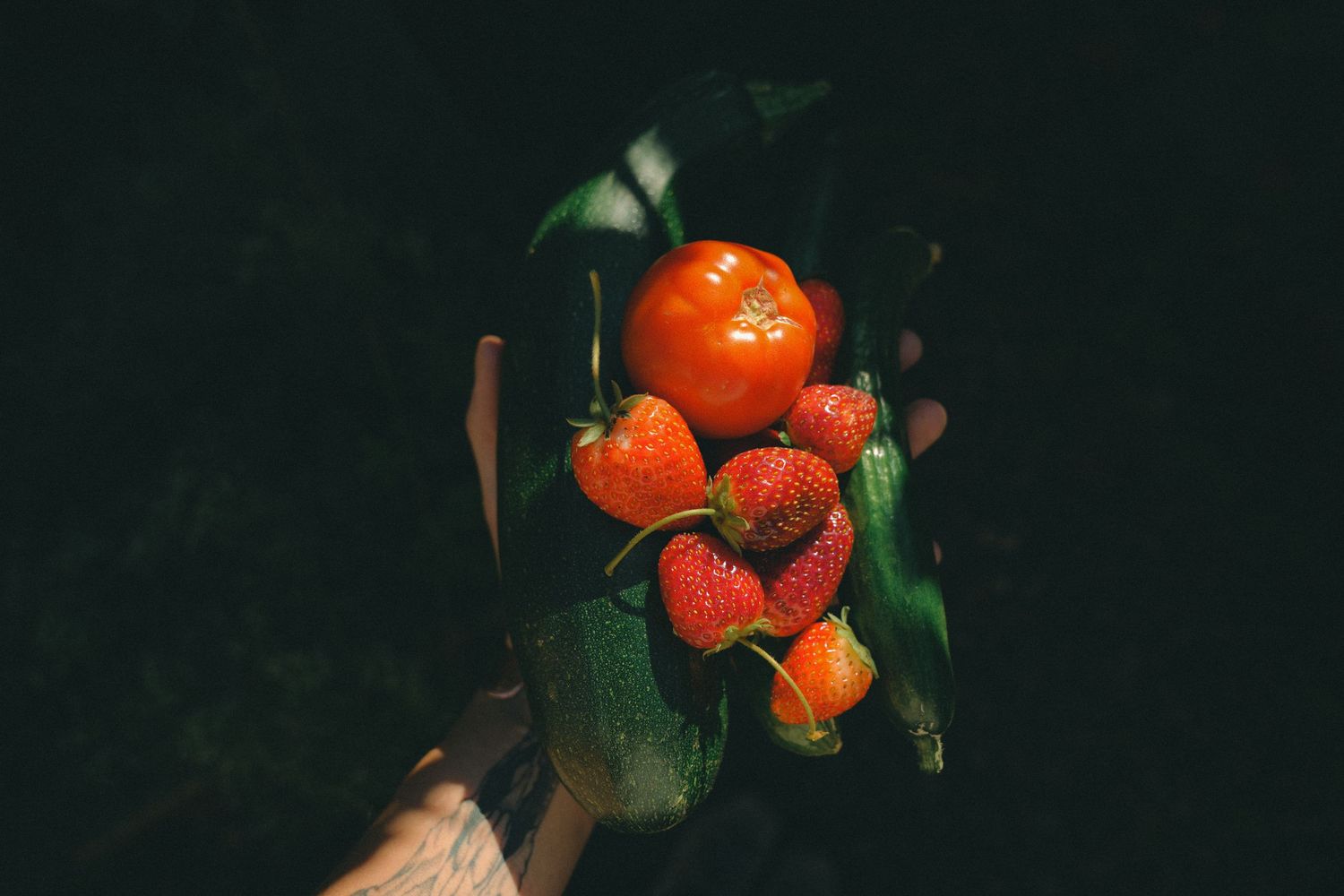 Hand holding fresh strawberries and a ripe orange tangerine with green leaves against a dark background.