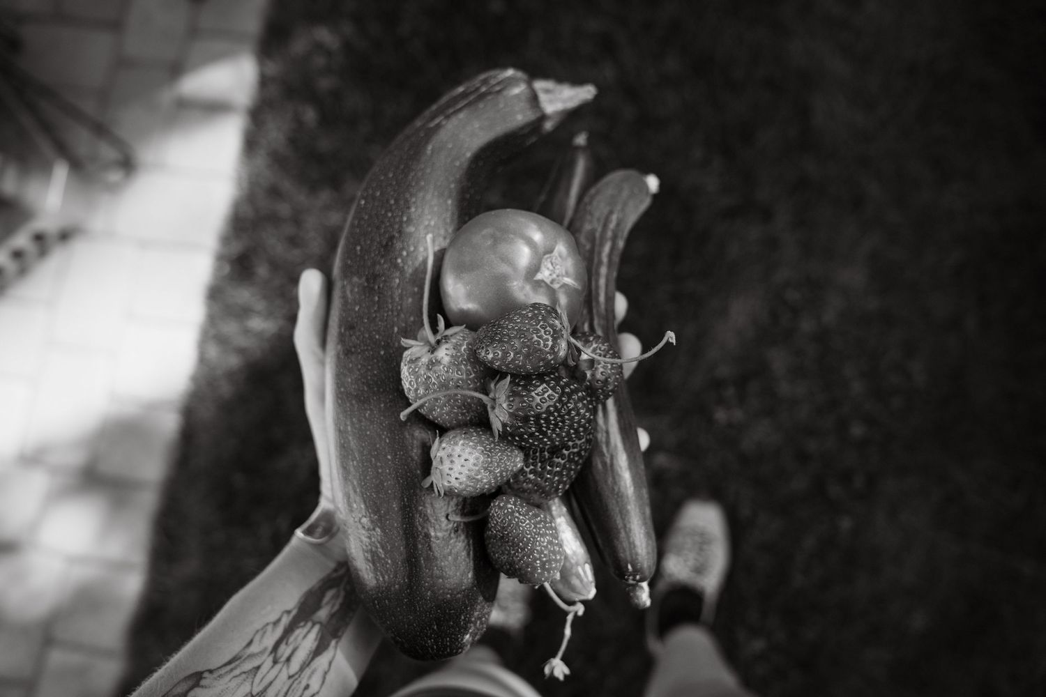 Black and white photo of a hand holding an open banana with snails and small fruits inside.