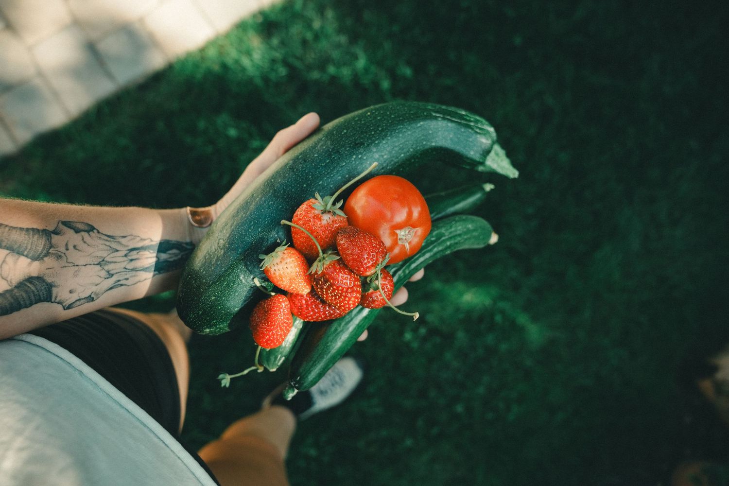 Tattooed hand holding fresh strawberries, a tomato, and cucumbers over green grass in natural light.