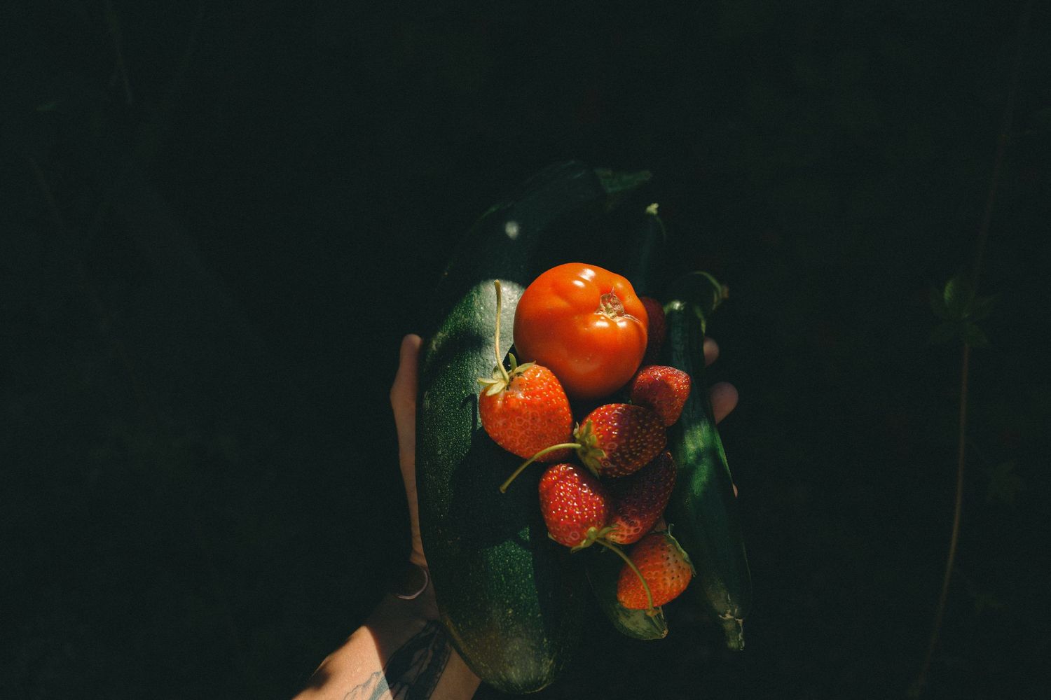 Hand holding fresh red tomatoes and strawberries against a dark background.