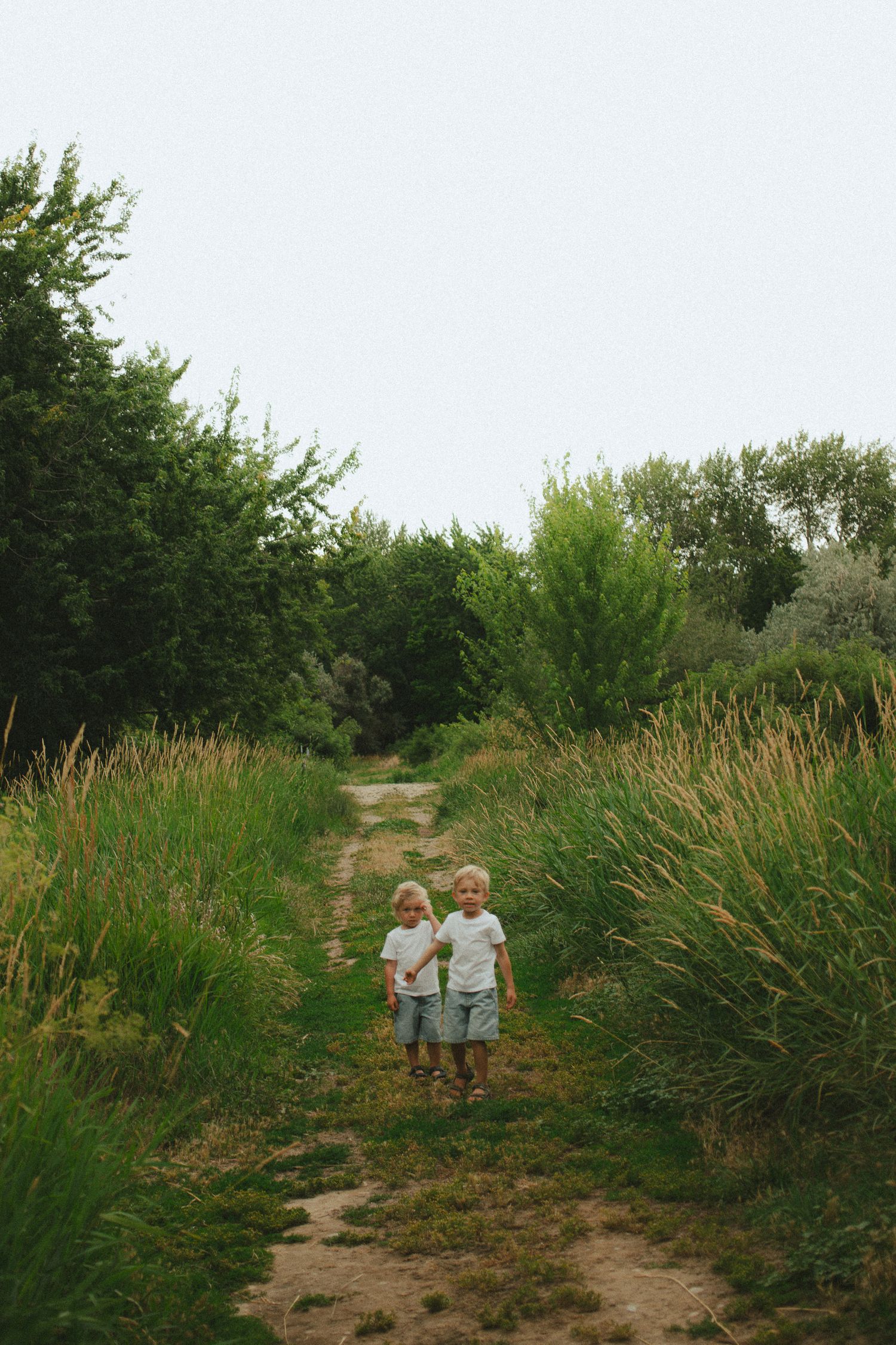 Two young children in white shirts walking together on a scenic grassy path.