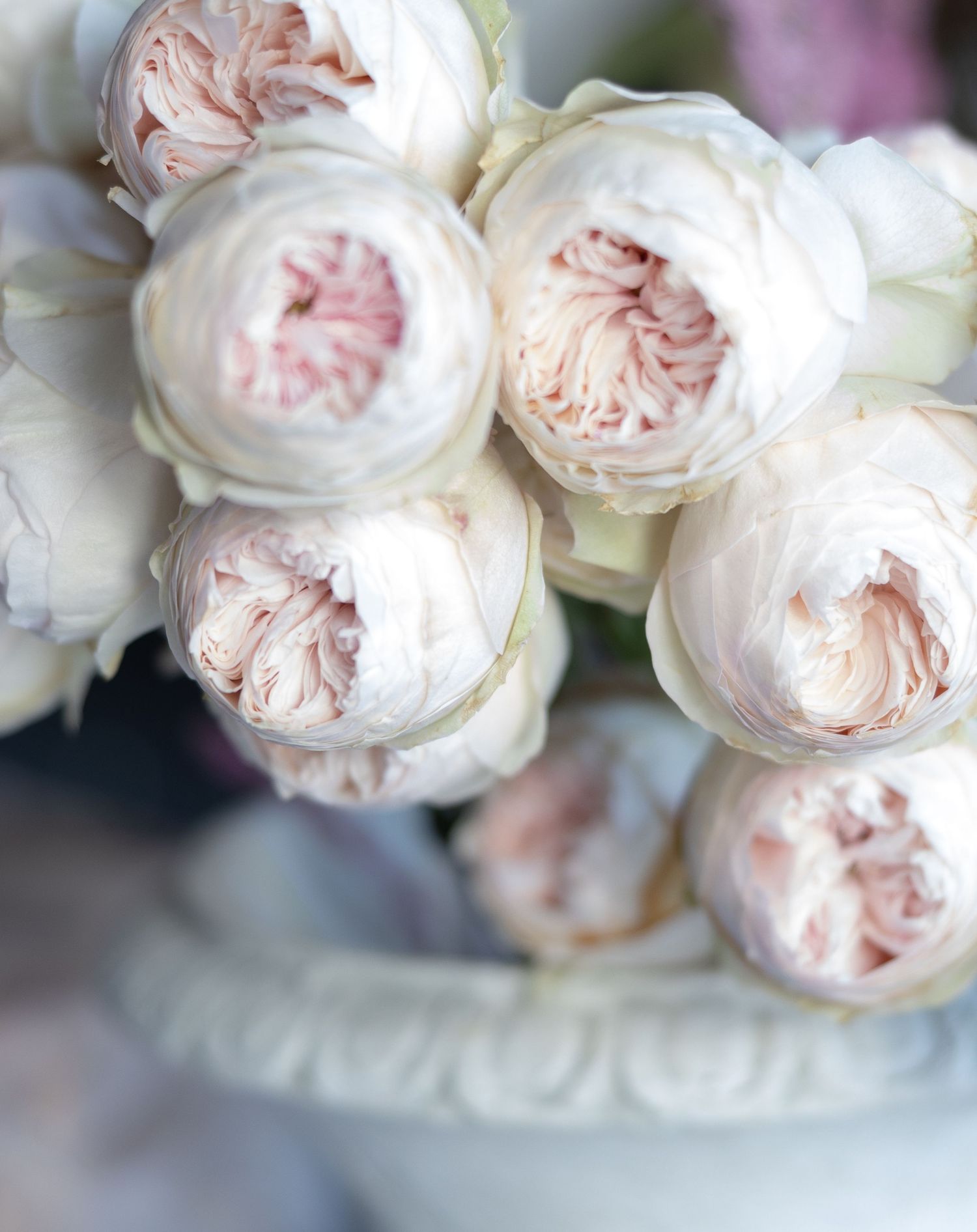 Fleur Studio