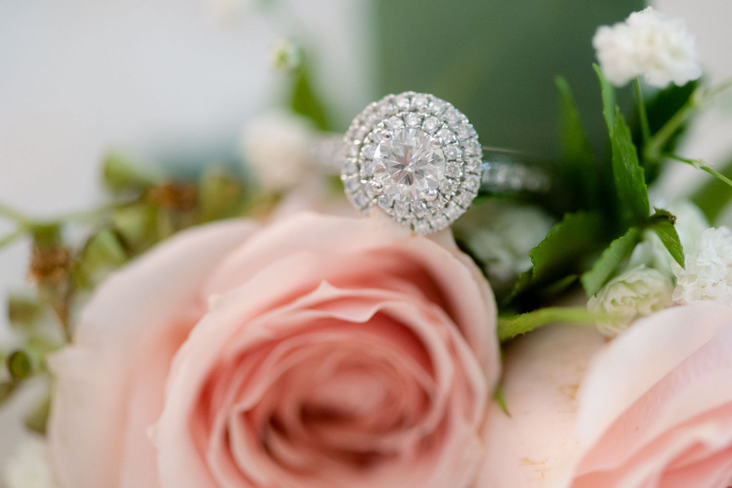 Close-up of diamond engagement ring nestled on soft pink rose petals.