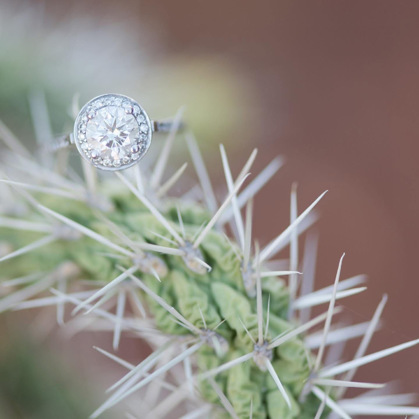 Diamond engagement ring photographed on a cactus with soft bokeh effect.
