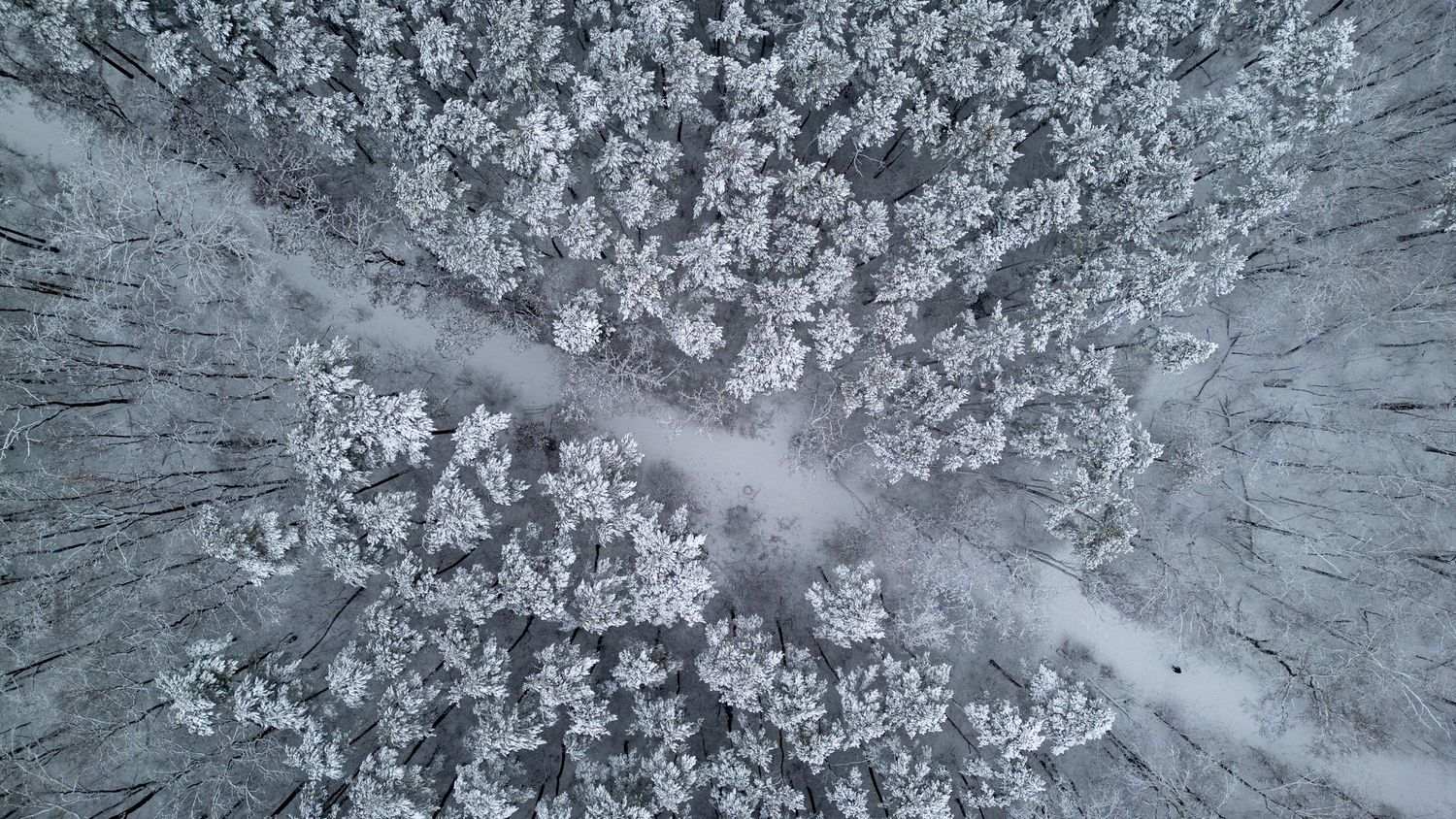 Drohnenfotos, Berlin, DJI, Winter in Berlin, Köpenick, Wald, Schnee, günstiger Drohnenfotograf, Fotograf Berlin, Videograf Berlin