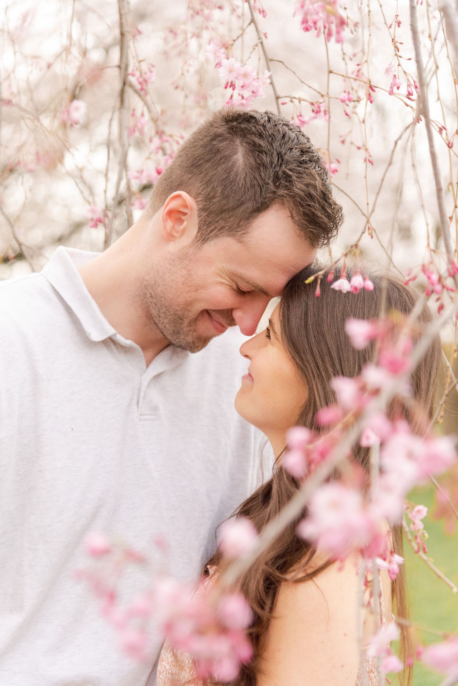 A romantic couple shares an intimate moment under blooming cherry blossom trees in springtime.