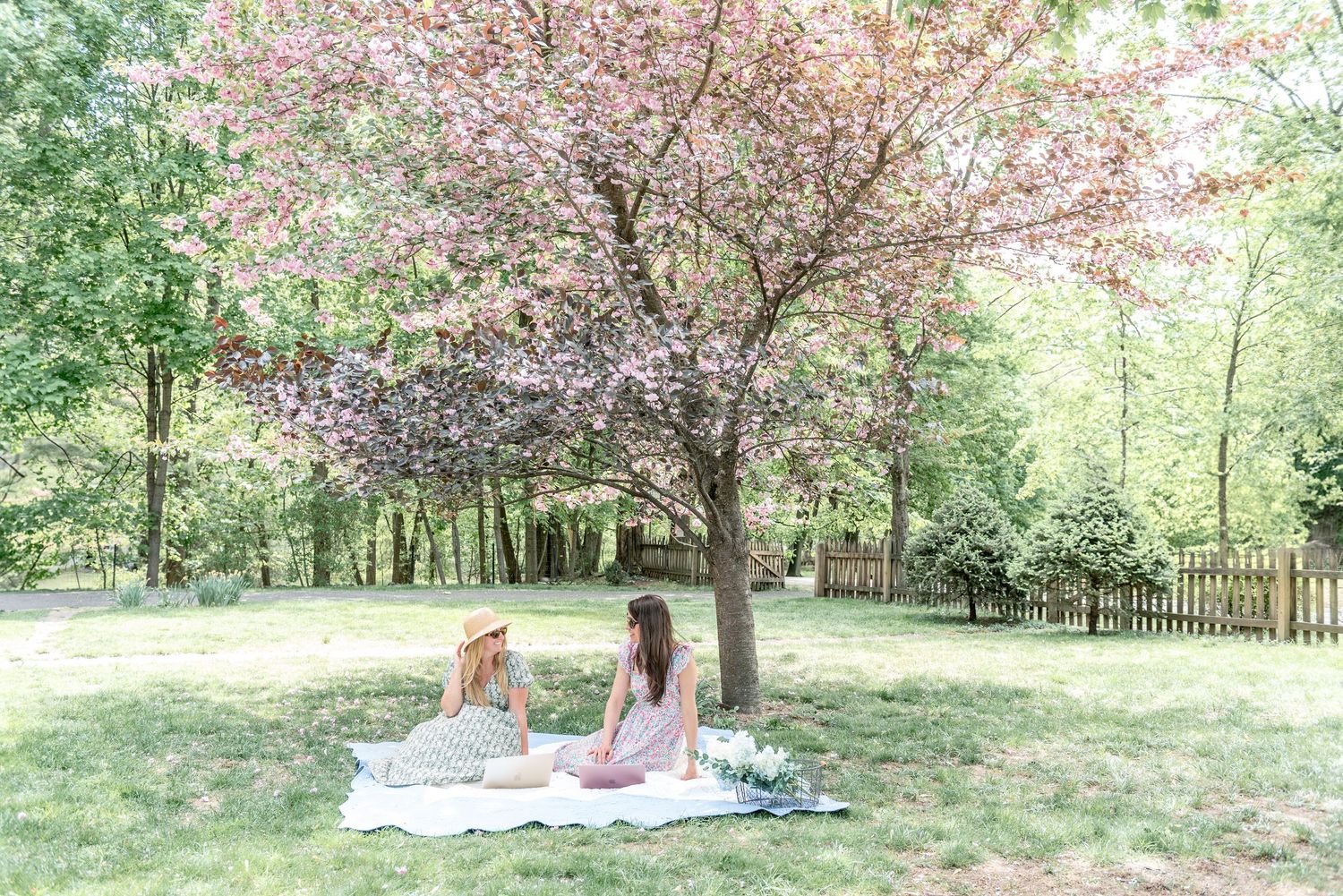 A picnic blanket is laid out under blooming cherry blossom trees in a peaceful spring park setting.