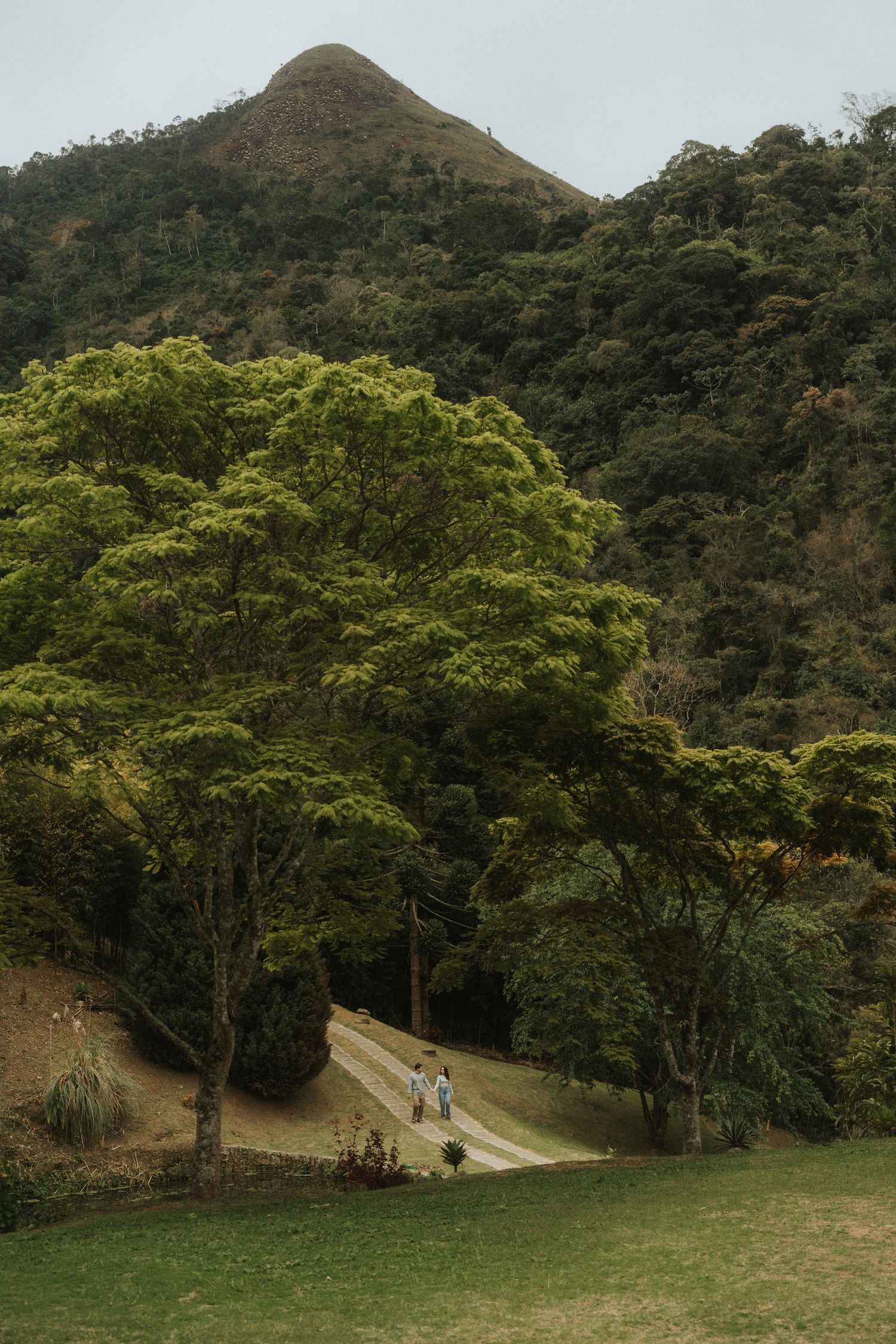 Two people walk along a winding dirt path through lush green forest with a mountain peak rising in the background.