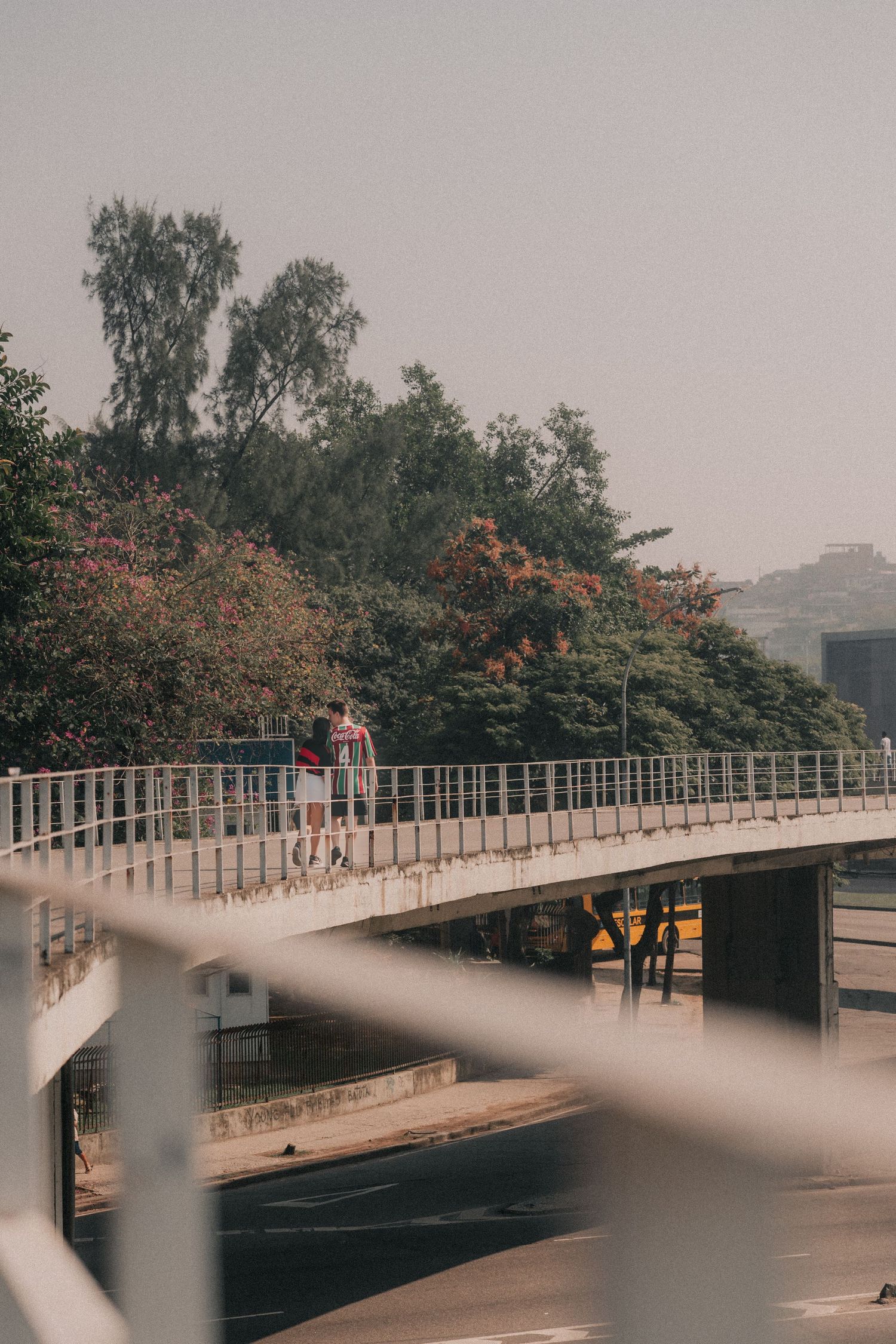 A person walks across a white bridge with red flowering trees visible on a misty morning at sunrise.