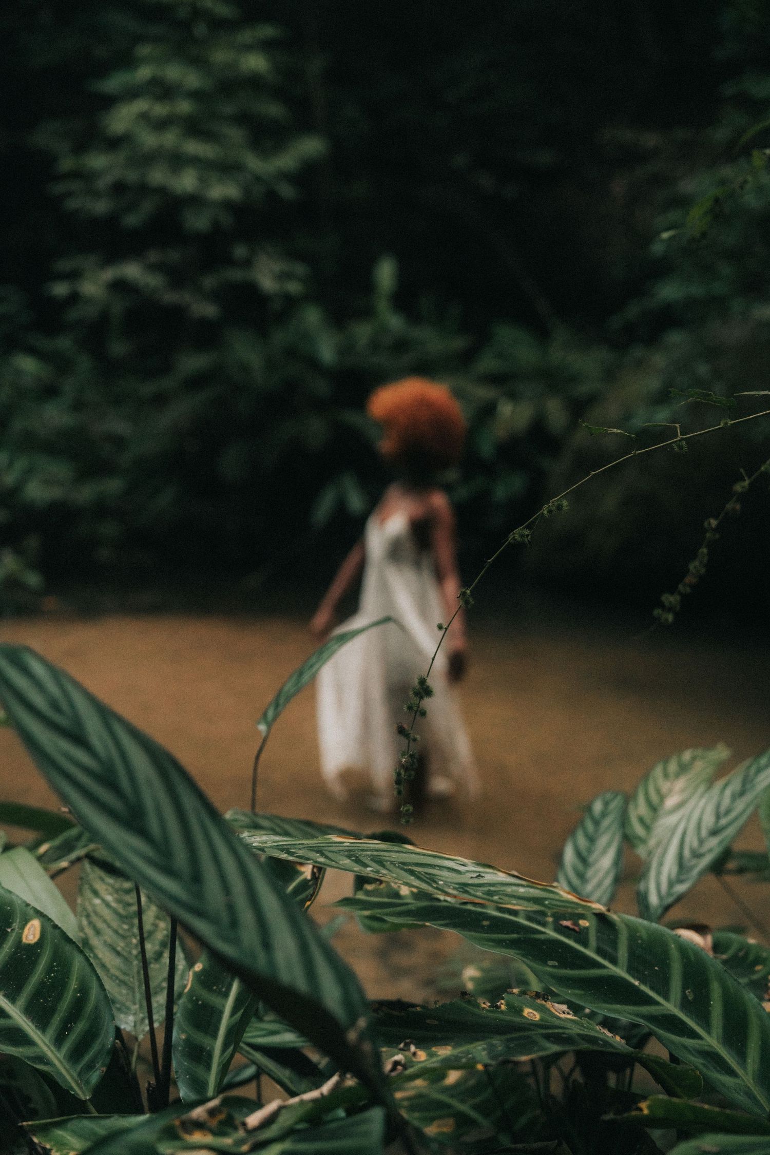 A person in a white dress stands in murky water surrounded by lush tropical foliage and leaves in a moody forest setting.