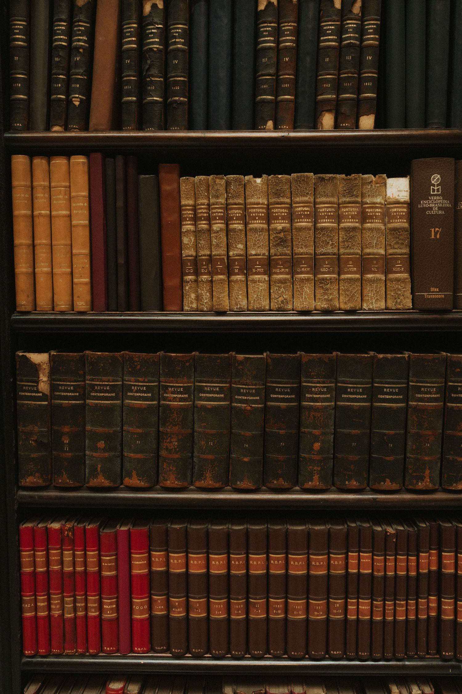 Old leather-bound books line wooden library shelves in warm lighting, creating a classic academic atmosphere.