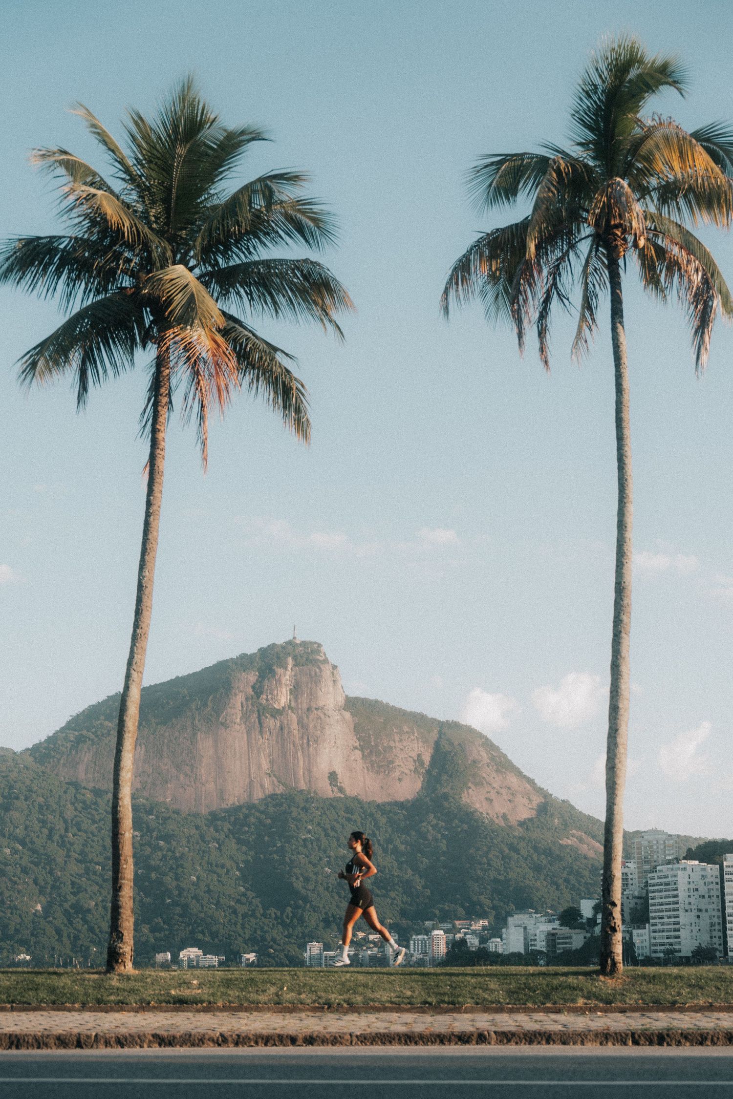 Sunset panorama of Rio de Janeiro coastline with palm trees and Two Brothers Mountain in the background.