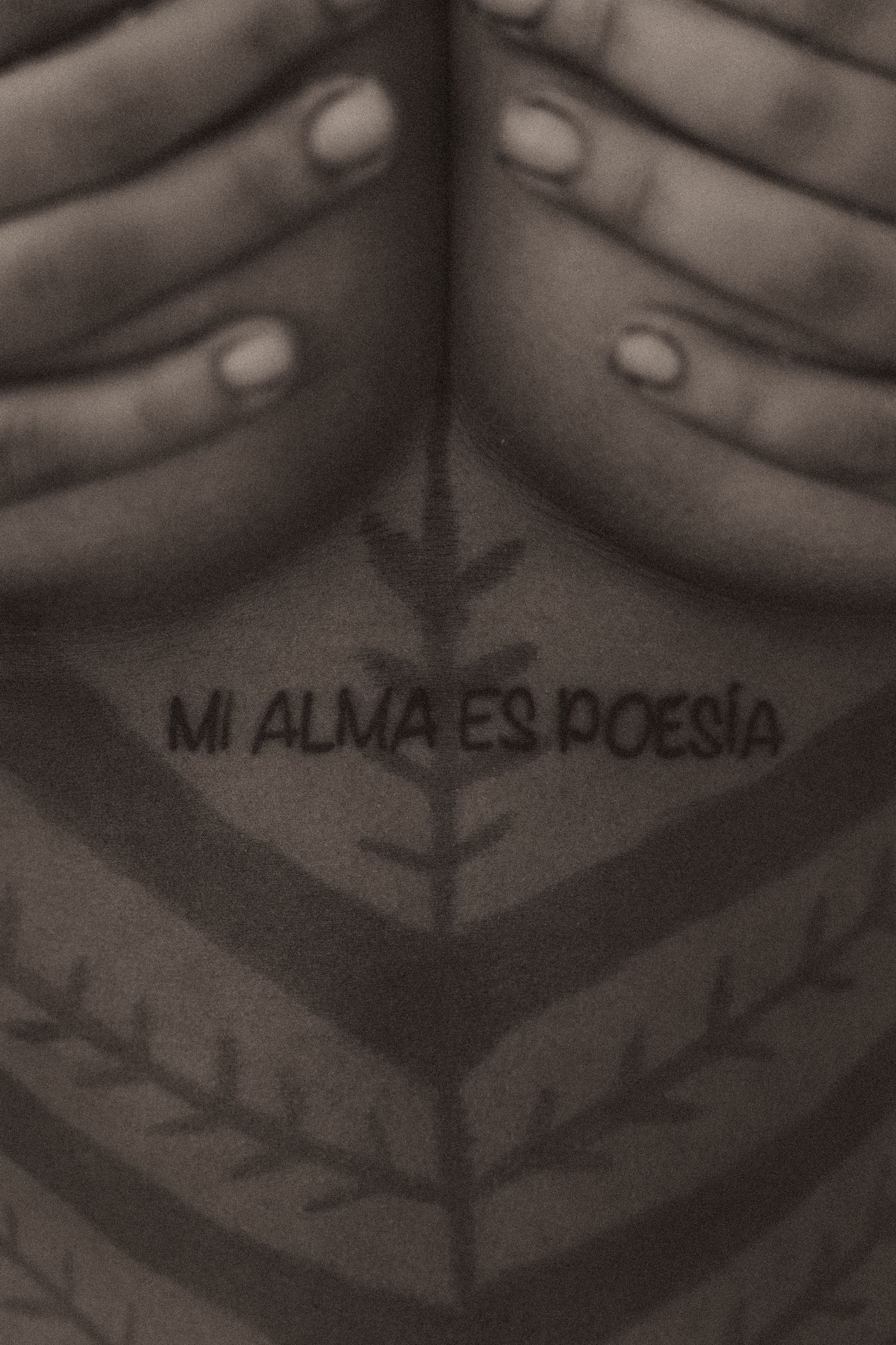 A black and white artistic image showing a repeated geometric pattern with text 'MI ALMA ES POESIA' visible.