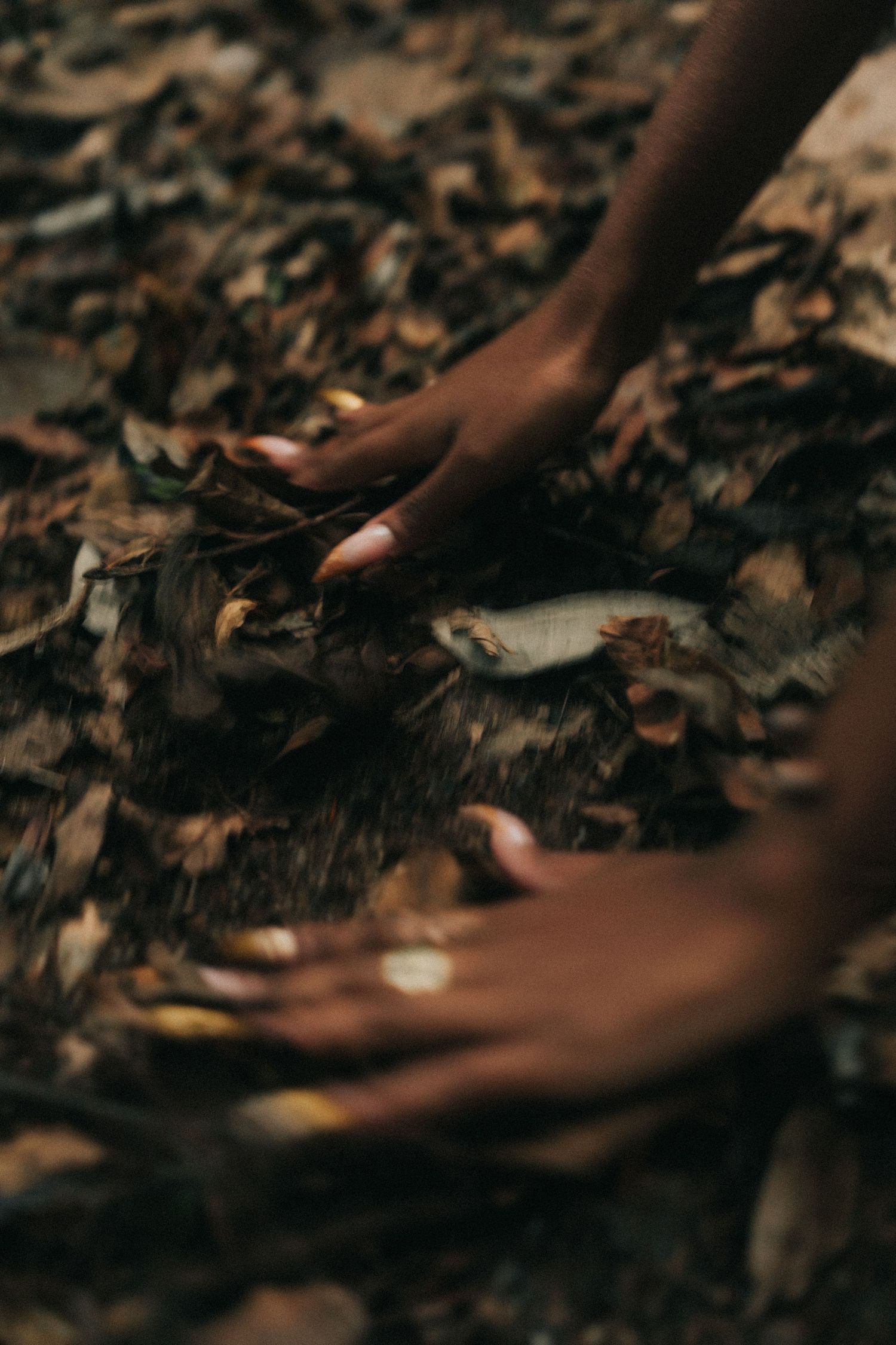 Dark-skinned hands working in rich soil and fallen leaves, conveying a connection to nature and gardening.