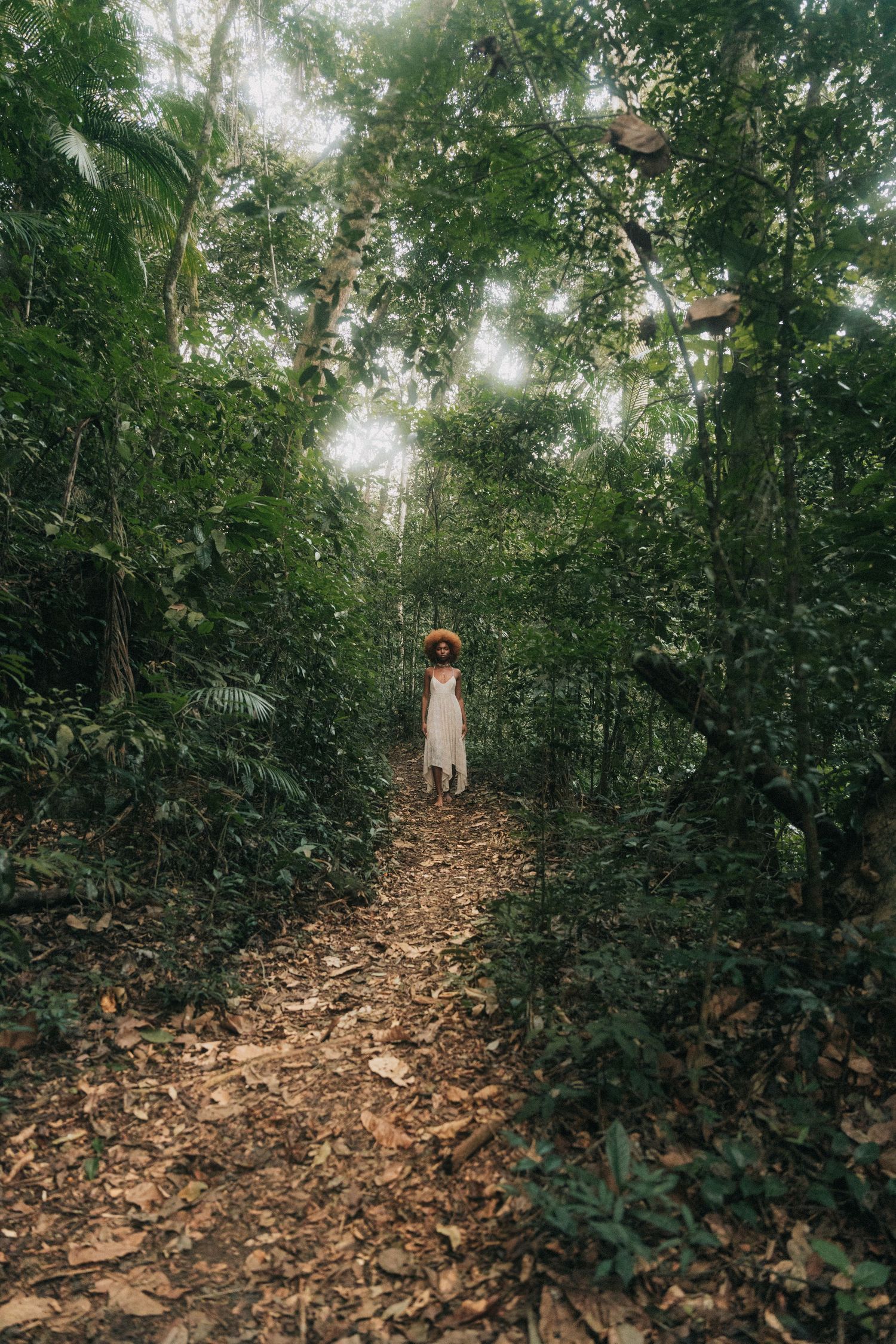 Series of forest trail images showing dense foliage and fallen leaves along a winding dirt path.
