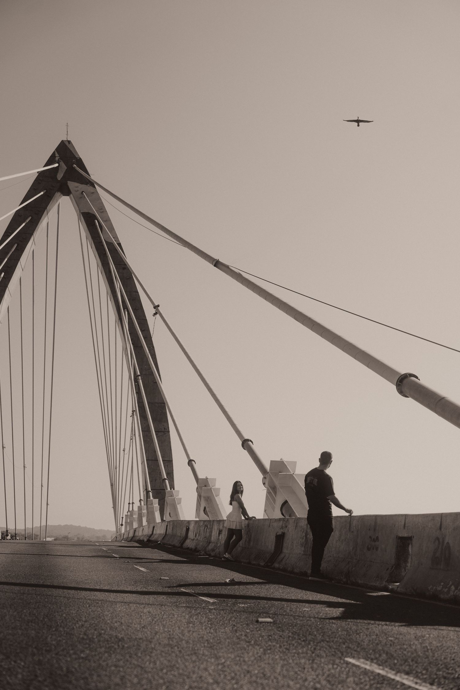 A series of black and white photographs showing a bridge collapsing with dramatic angles and silhouettes.