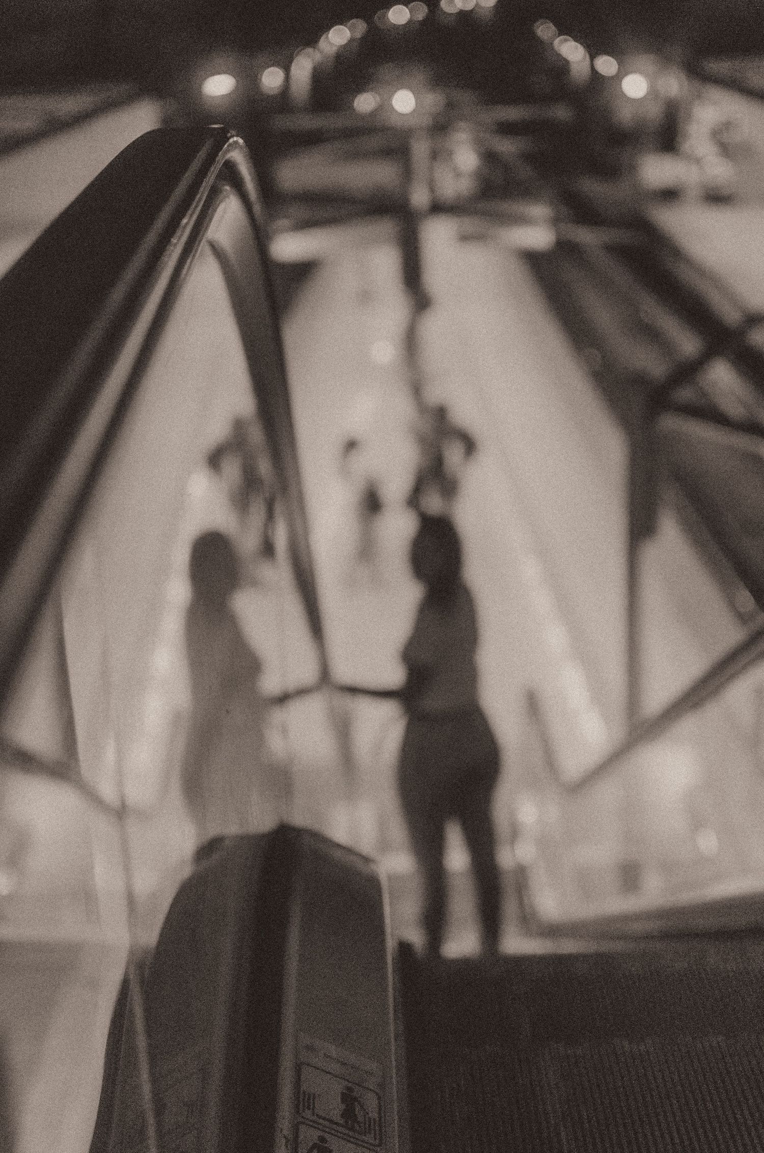 Black and white silhouetted string instruments in decorative window display create dramatic lighting effect.