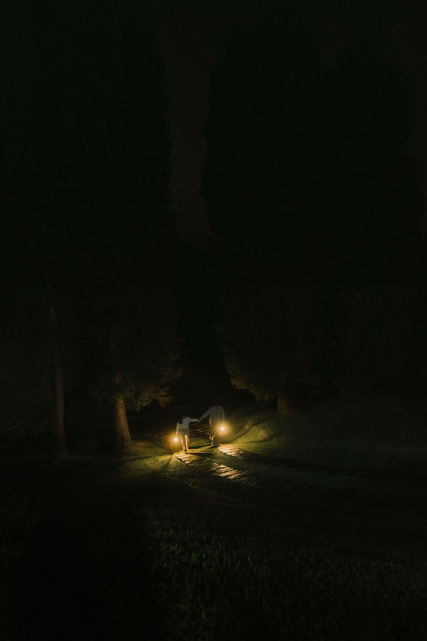 A glowing camping lantern illuminates a dark forest campsite at night with a warm atmospheric glow.