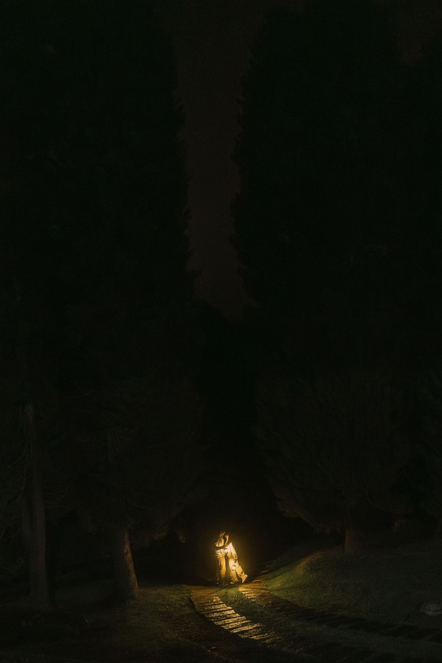 A glowing figure stands on a dark forest path at night, illuminating wooden steps through the trees.