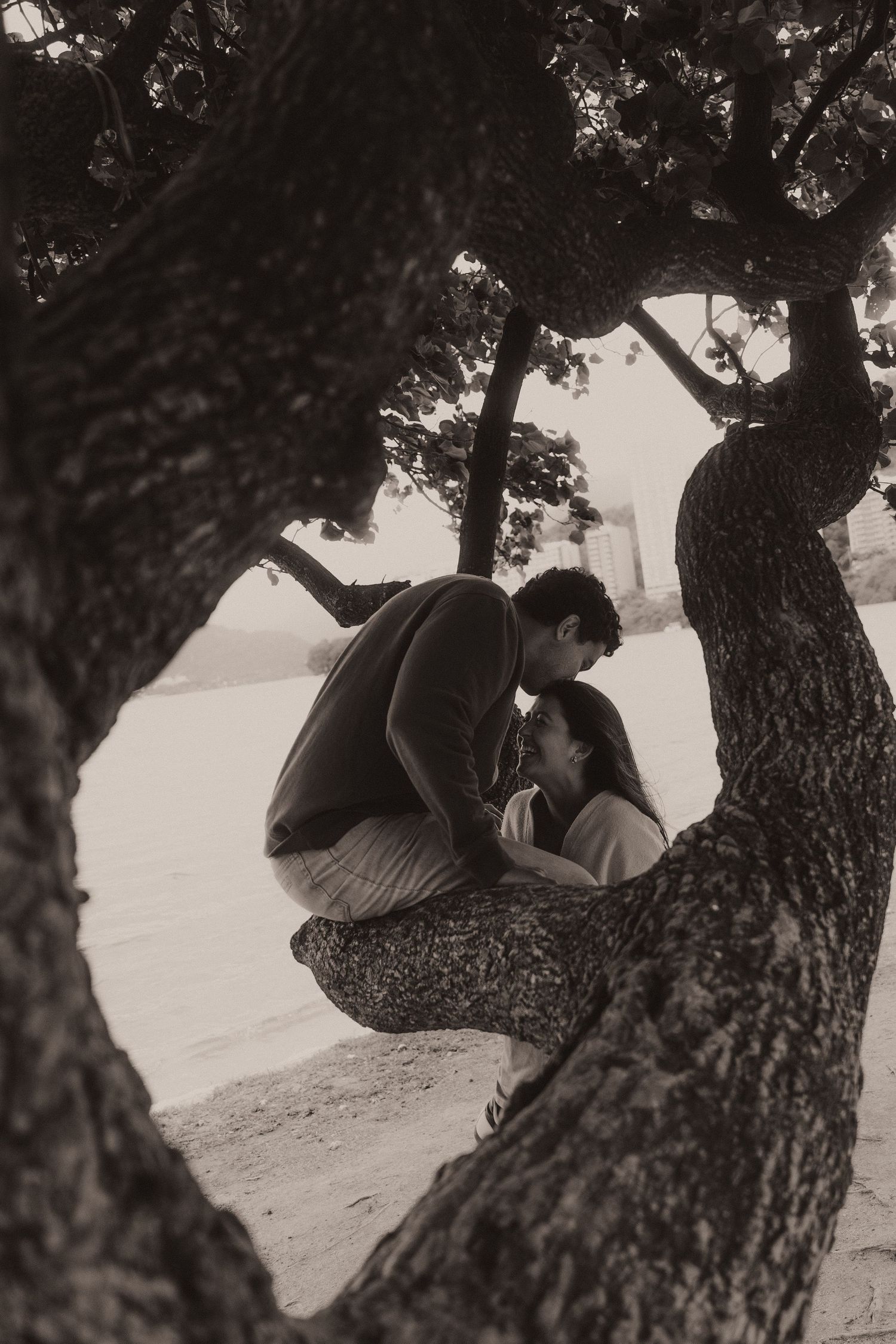 A sequence of romantic black and white photographs showing a couple sitting together beneath a tree on a beach.