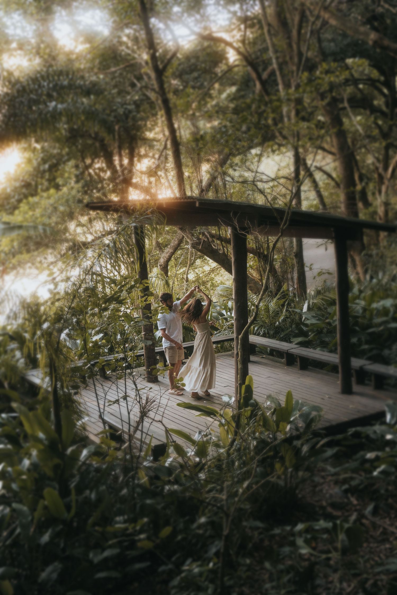 Wooden boardwalk path through lush green forest with enchanting morning sunlight filtering through trees.
