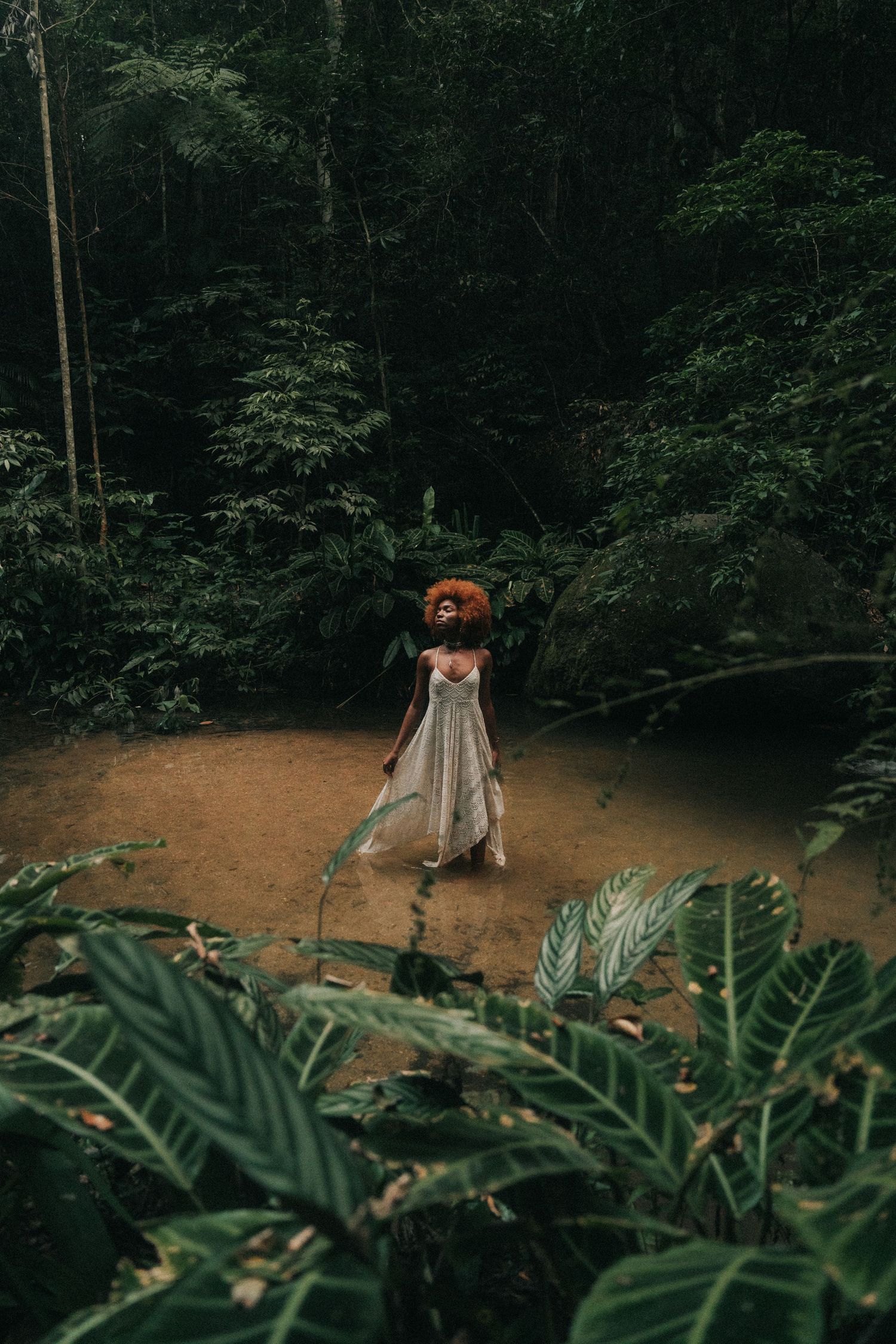 A person in a light-colored dress stands on a path surrounded by lush tropical foliage and greenery in a dark forest.
