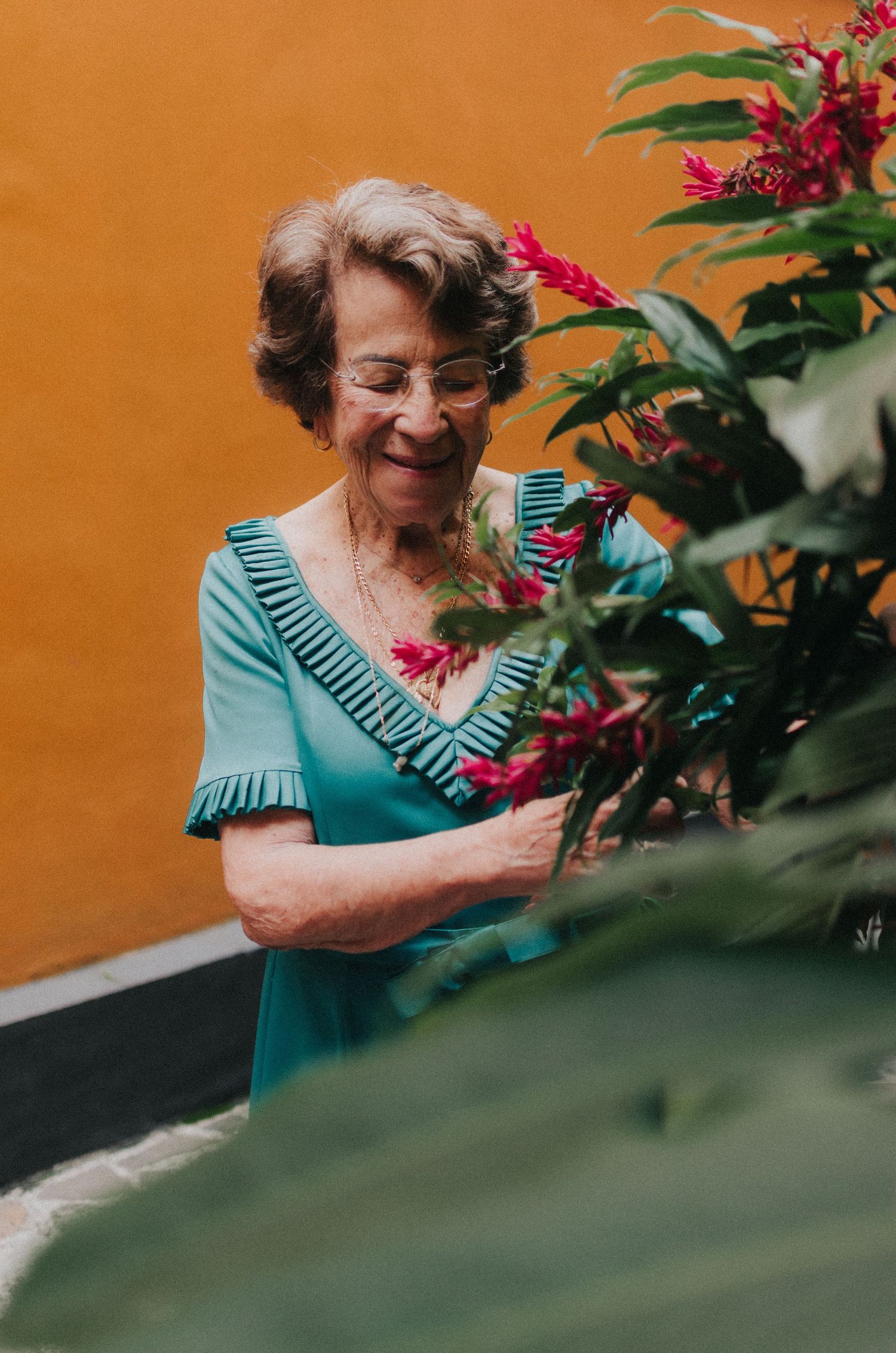 Elderly person in turquoise dress joyfully tending to red flowering plants against orange wall background.