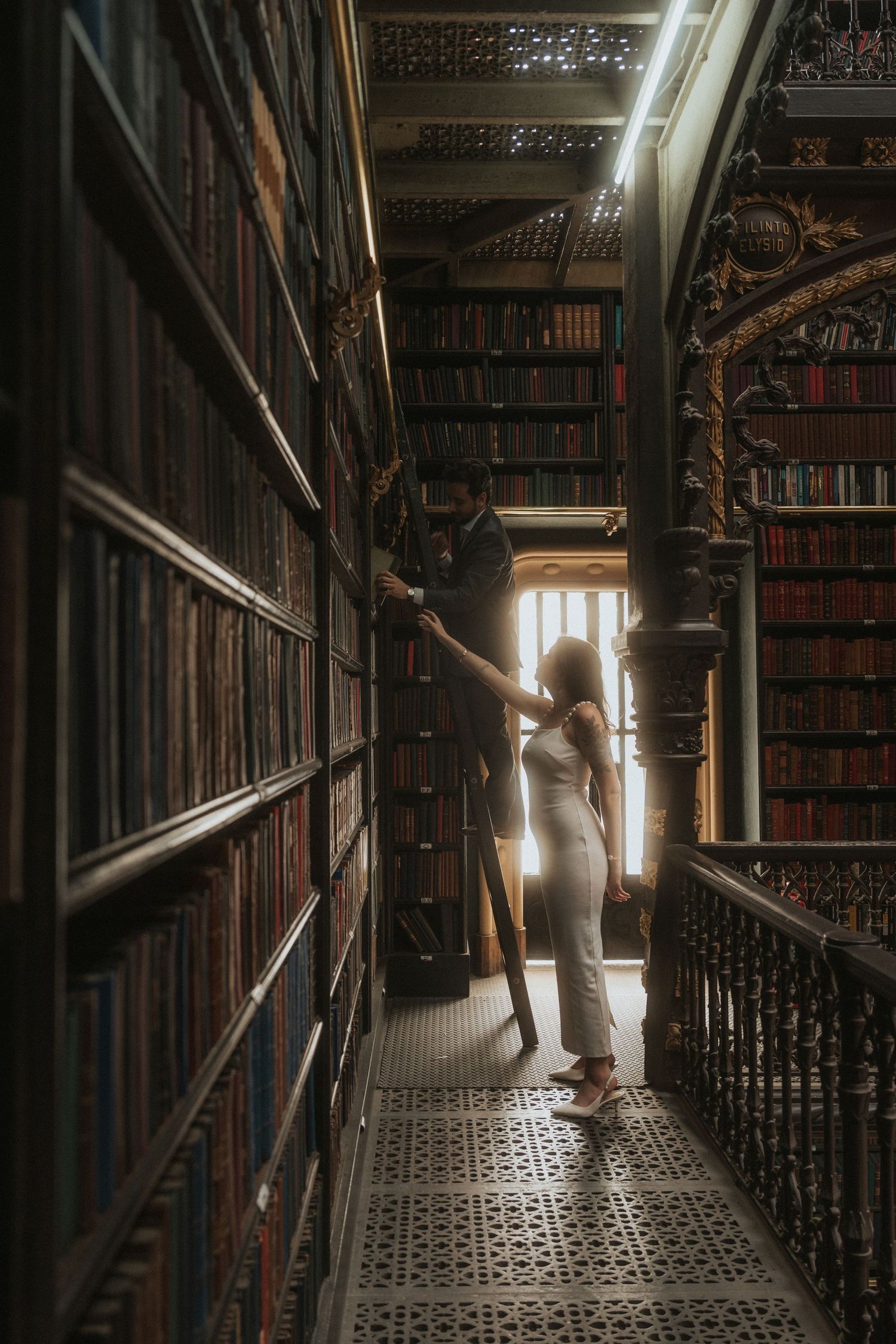 Silhouette in vintage library reaches for book on tall shelves with ornate metalwork and natural light streaming through window.