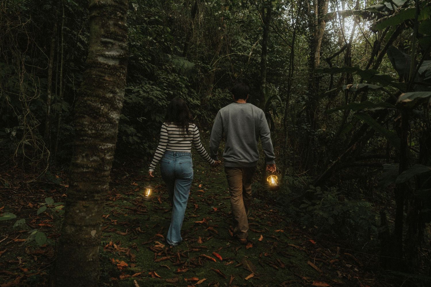 Two people walk through a dark forest path at dusk carrying lanterns, creating a moody atmospheric scene.