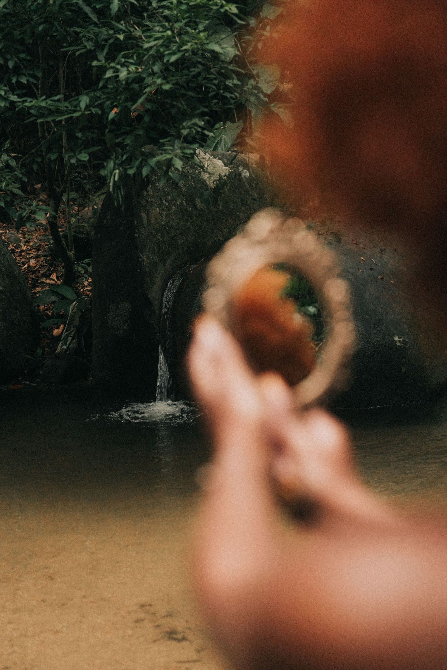 A panoramic view of blurred foliage and branches over murky water creates a dreamy atmospheric scene.