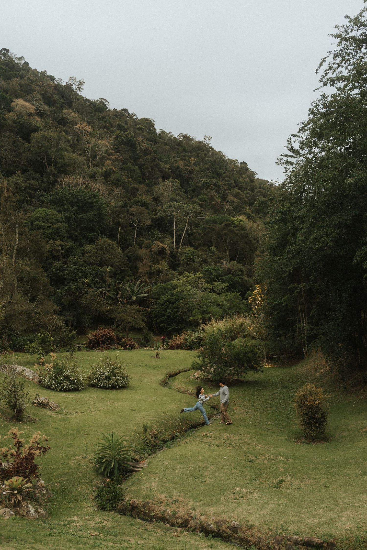 A grassy hillside meadow surrounded by lush forest trees creates a serene natural landscape on an overcast day.