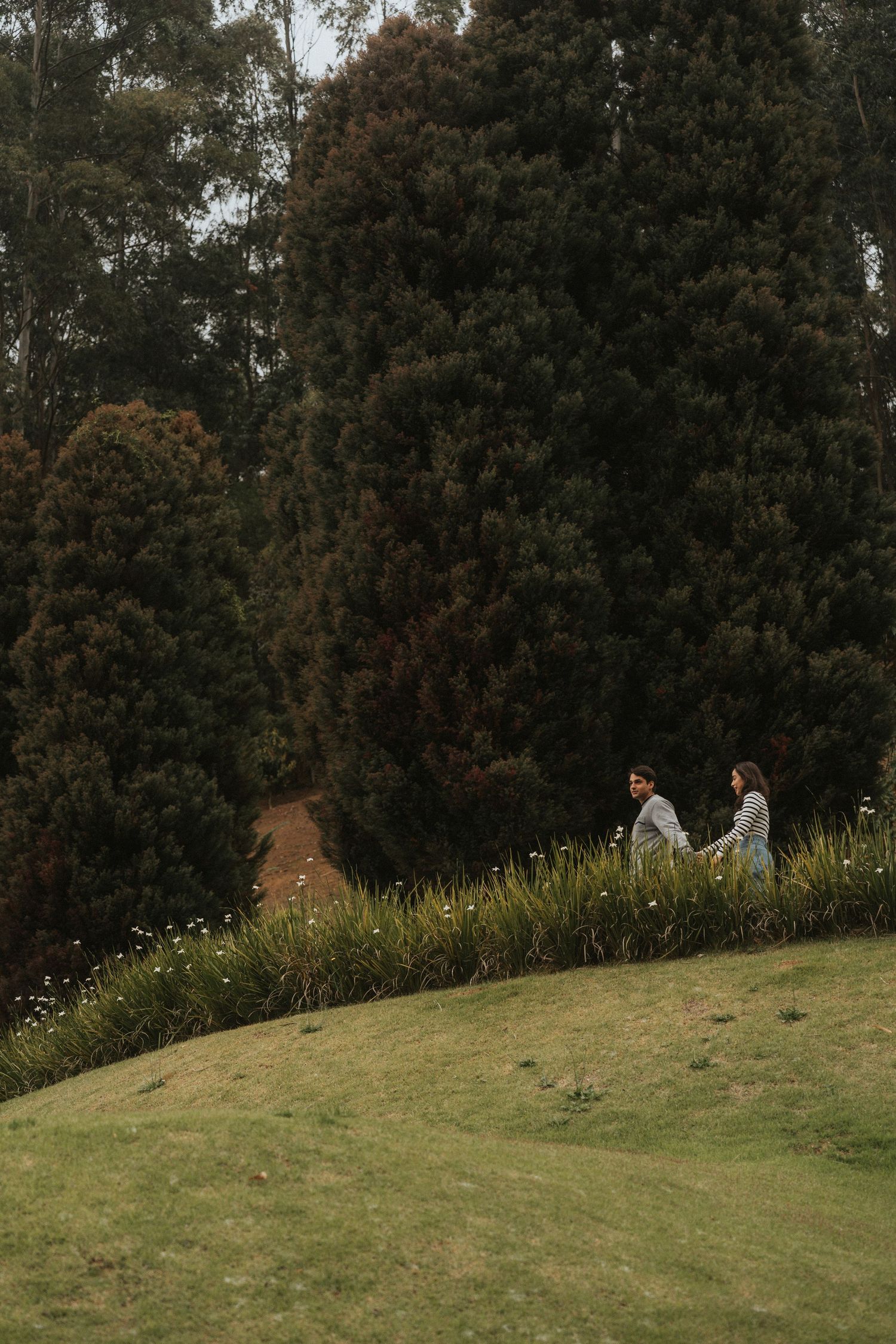 People walking along a grassy hillside path with autumn trees in the background on an overcast day.